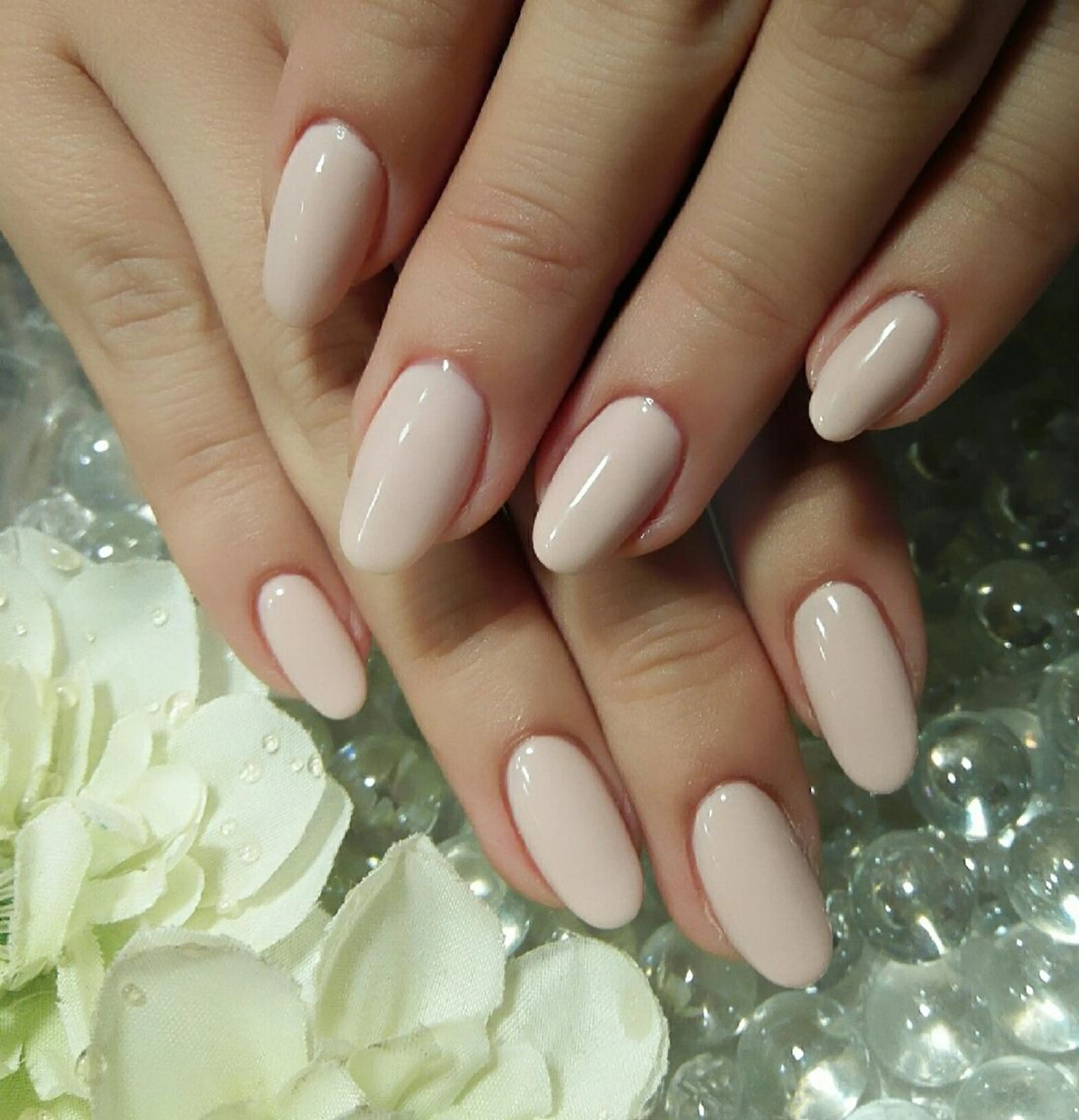 ネイル ワンカラーネイル nail myuu【ネイルミュー】所属・nail myuu 【ネイルミュー】のネイルデザイン