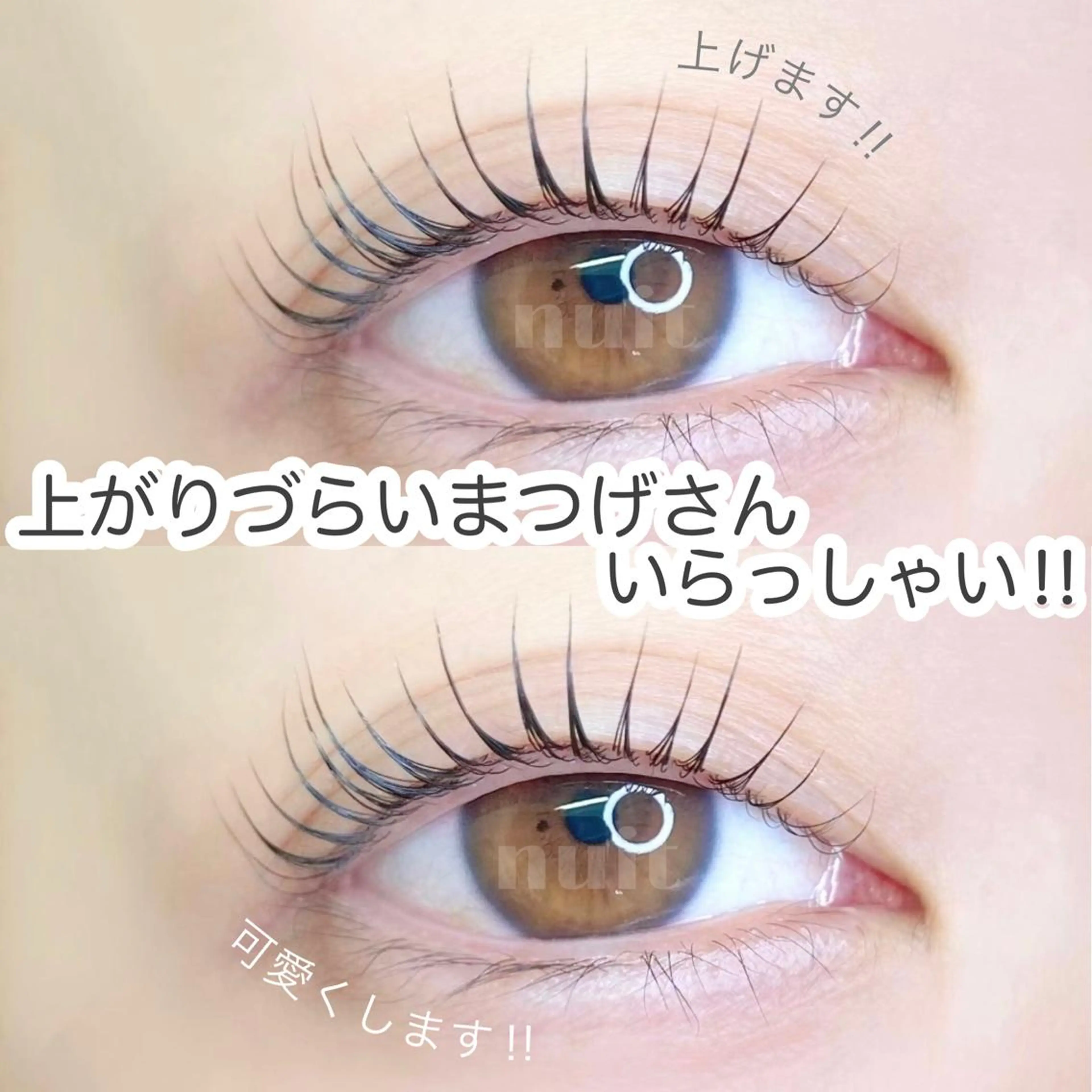 マツエク・マツパ パリジェンヌラッシュリフト eyelash  salon  nuit【ニュイ】所属・nuit 【ニュイ】 大宮 /　yucaのマツエク・マツパデザイン