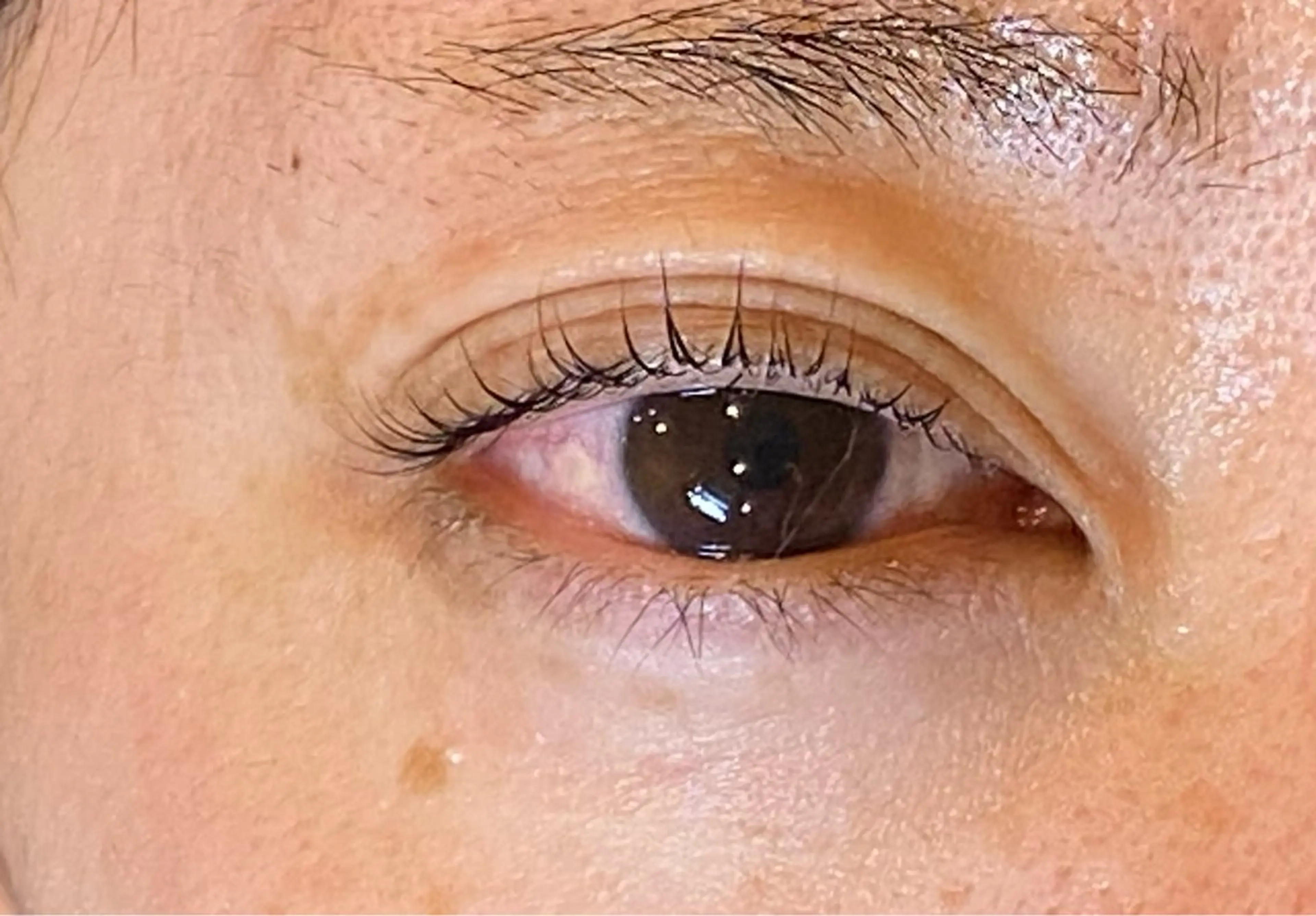 マツエク・マツパ まつげパーマ Daisy lash 京橋店堀井のマツエク・マツパデザイン