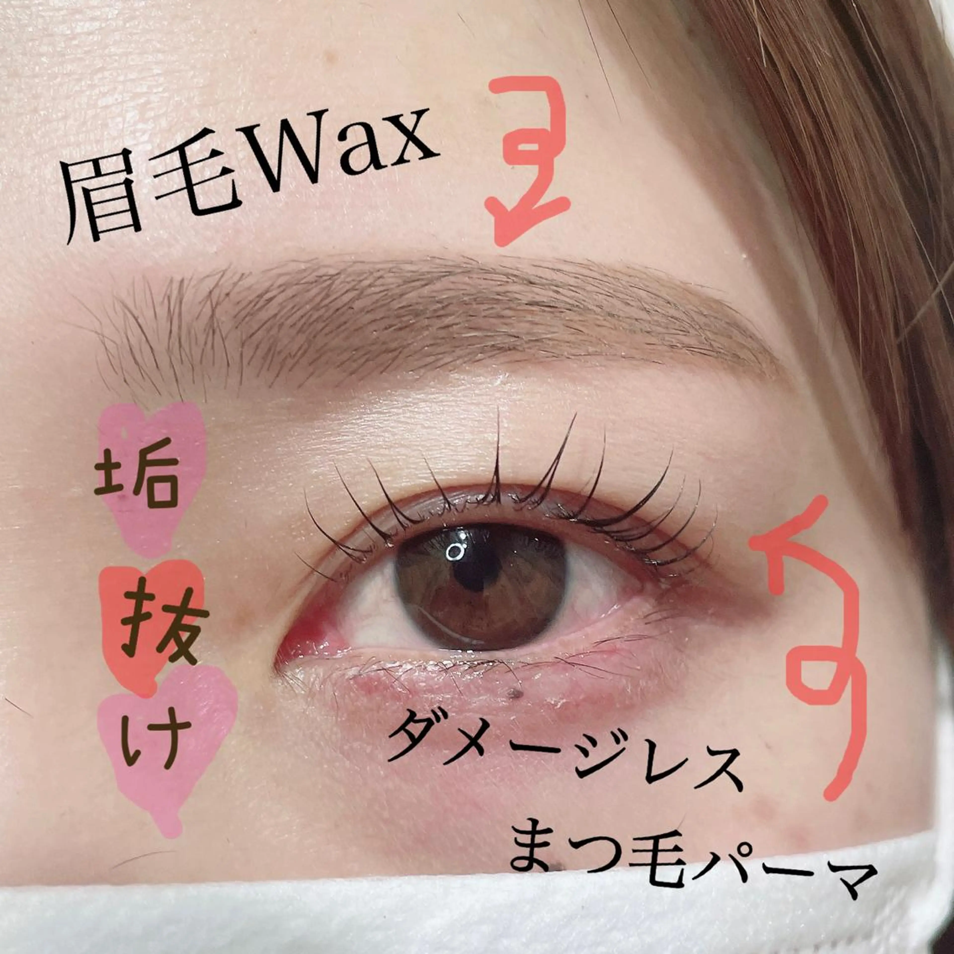 マツエク・マツパ アイブロウ ナチュラル パリジェンヌラッシュリフト 一重×まつ毛パーマ ワックス脱毛 その他(アイブロウ) SEALA 高石店所属・SEALA 高石の眉毛・アイブロウイメージ