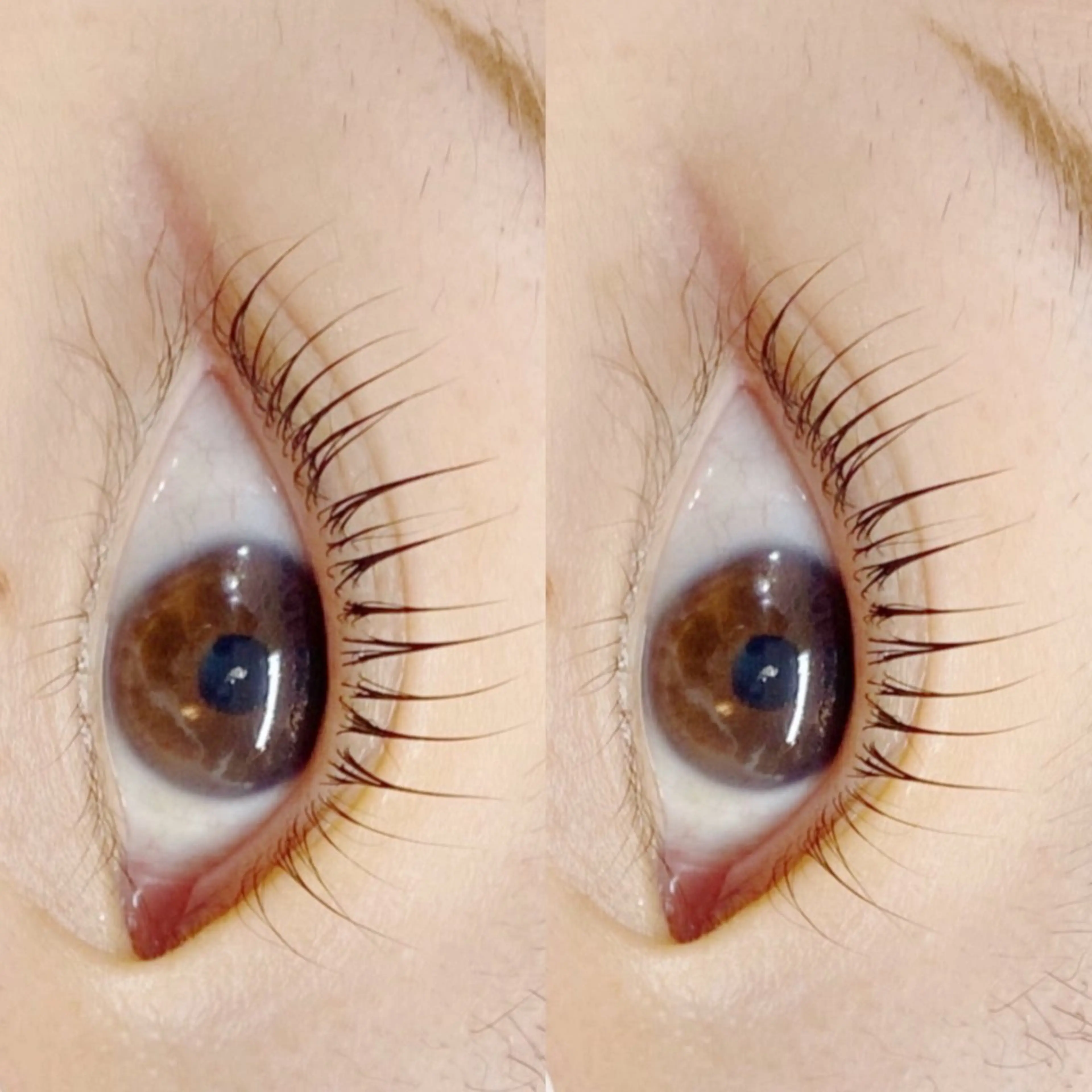 マツエク・マツパ マツパ Eyelash Salon “elu.”所属・elu 菅野のマツエク・マツパデザイン
