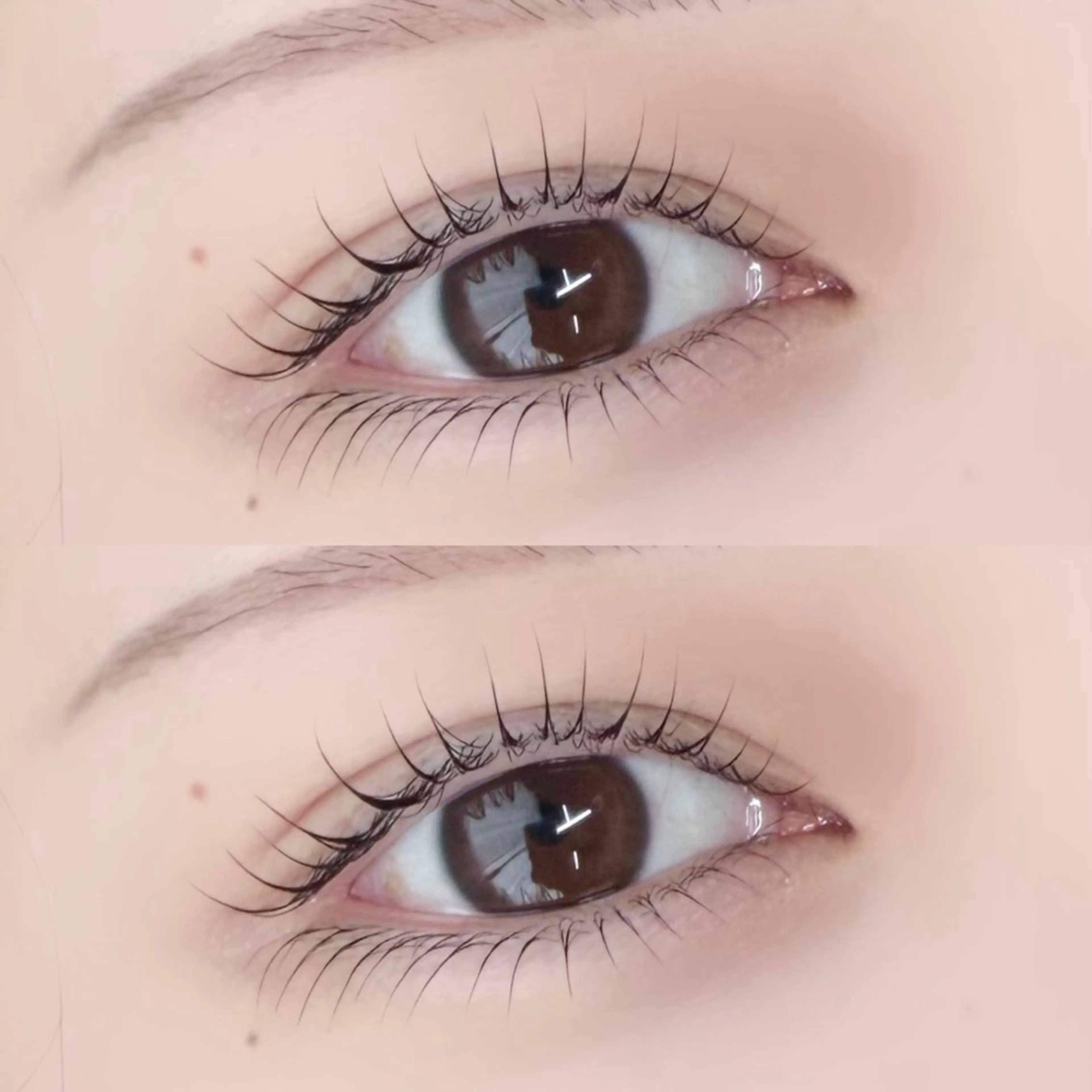 韓国ロッド《ピーナッツロッド》🇰🇷パリジェンヌラッシュリフト¥5980の写真