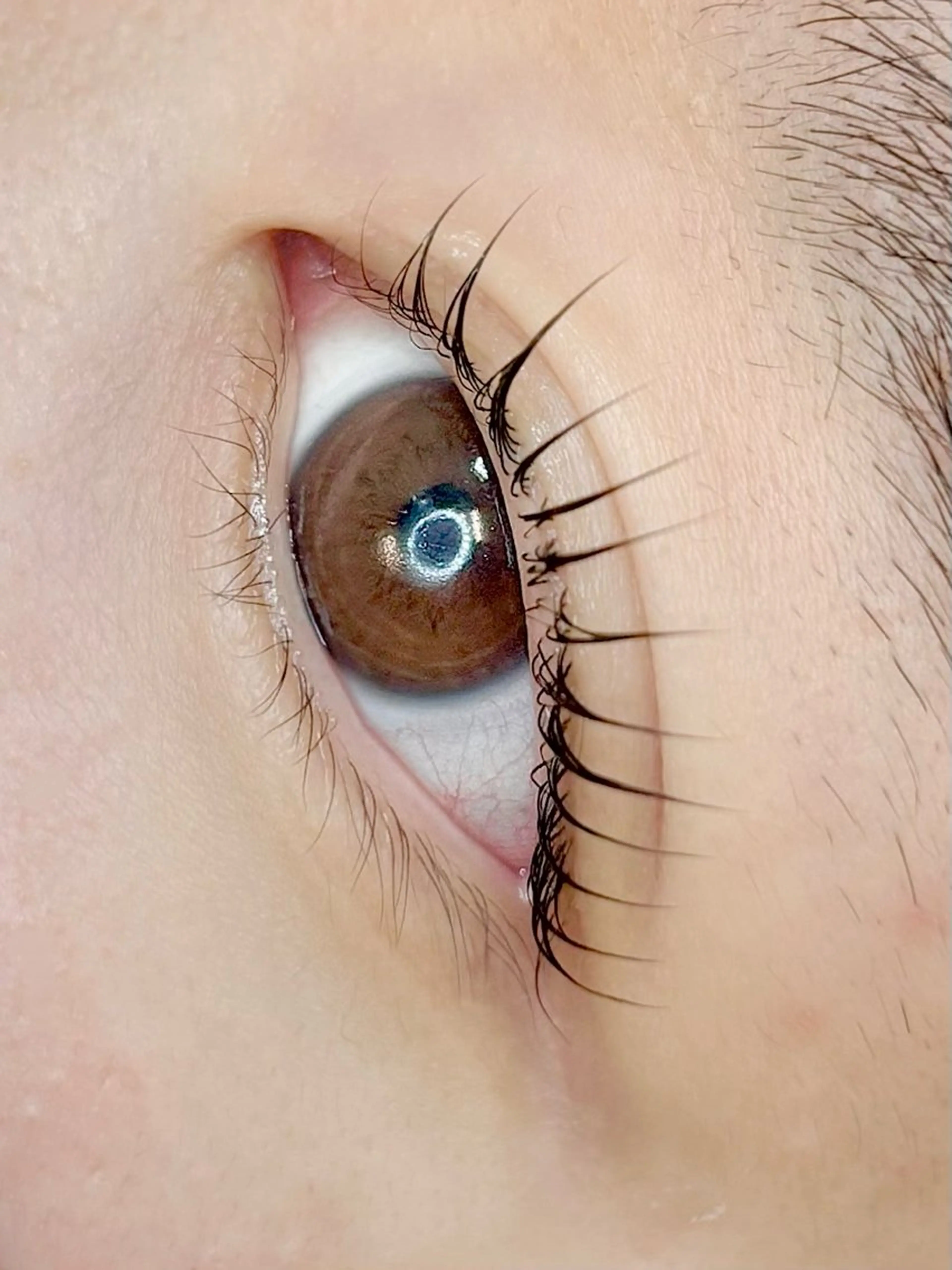 マツエク・マツパ マツパ L'oeillet ルイエのマツエク・マツパデザイン