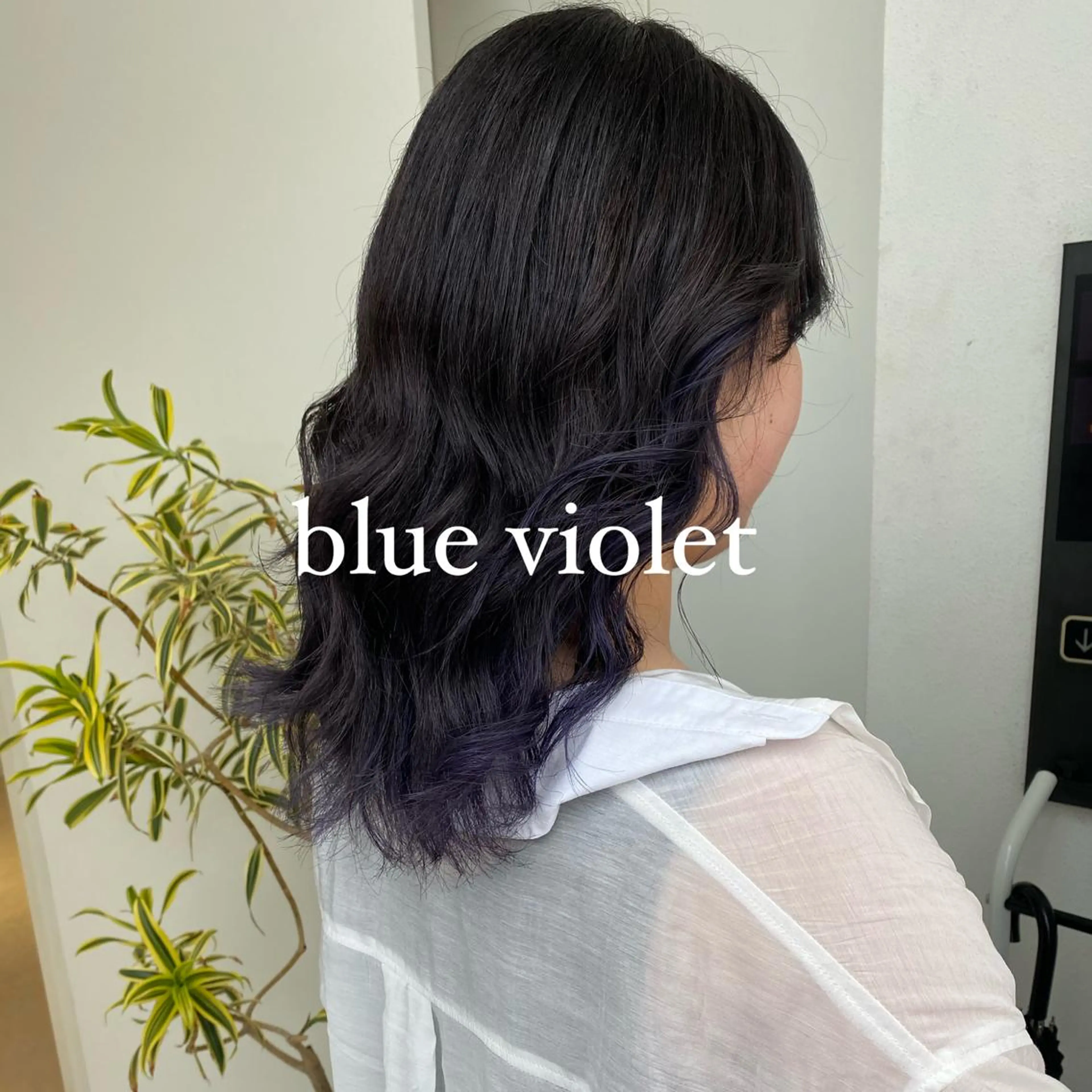 セミロング カラー ブルーカラー ブルーバイオレット バイオレットカラー カット ヘアカラー トリートメント ヘアセット 絶対カワイイ保証💕 カワノ　チヒロのヘアスタイル