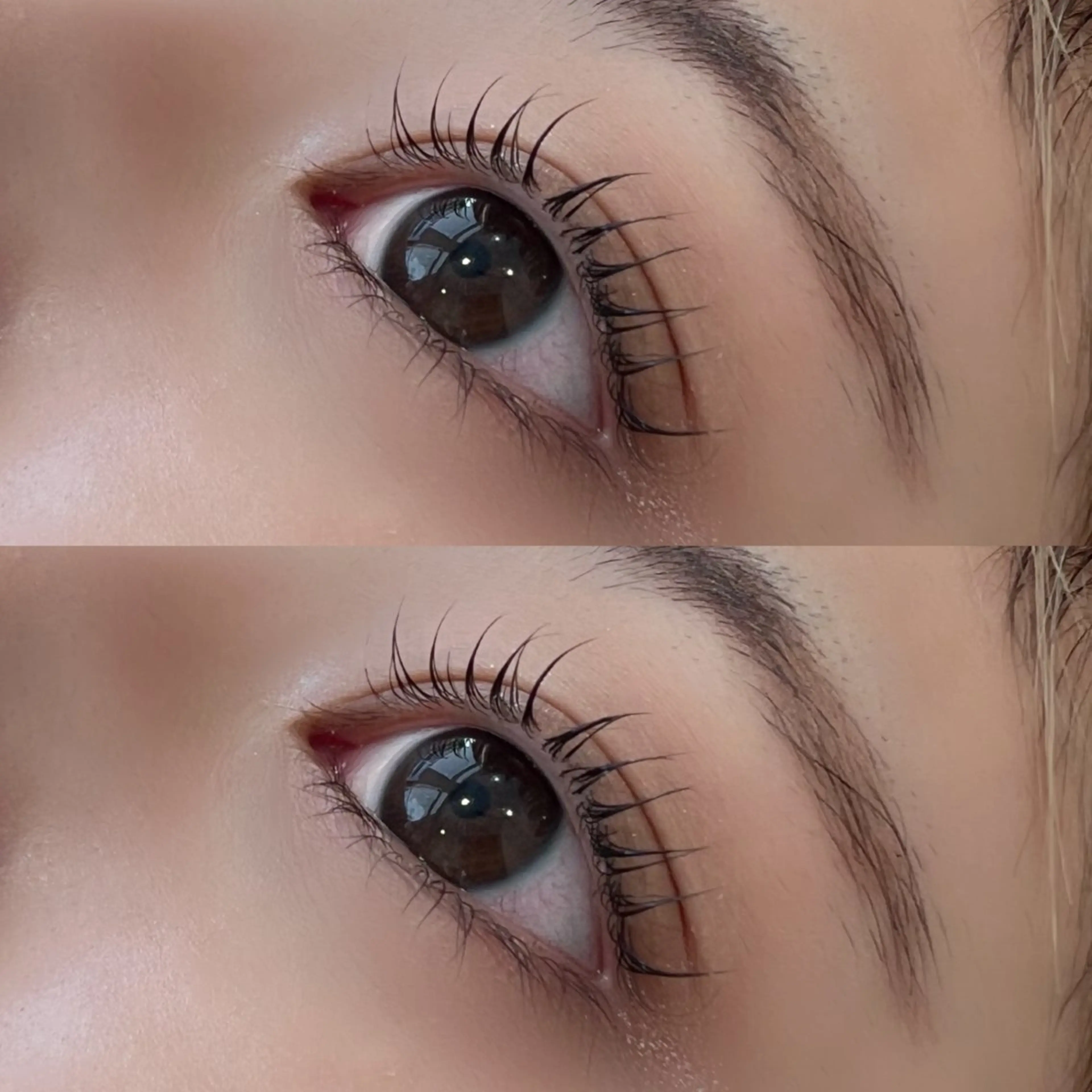 マツエク・マツパ Cカール H eyelash 吉祥寺店所属・nico/束感まつ毛 /アンドヘルシーのマツエク・マツパデザイン
