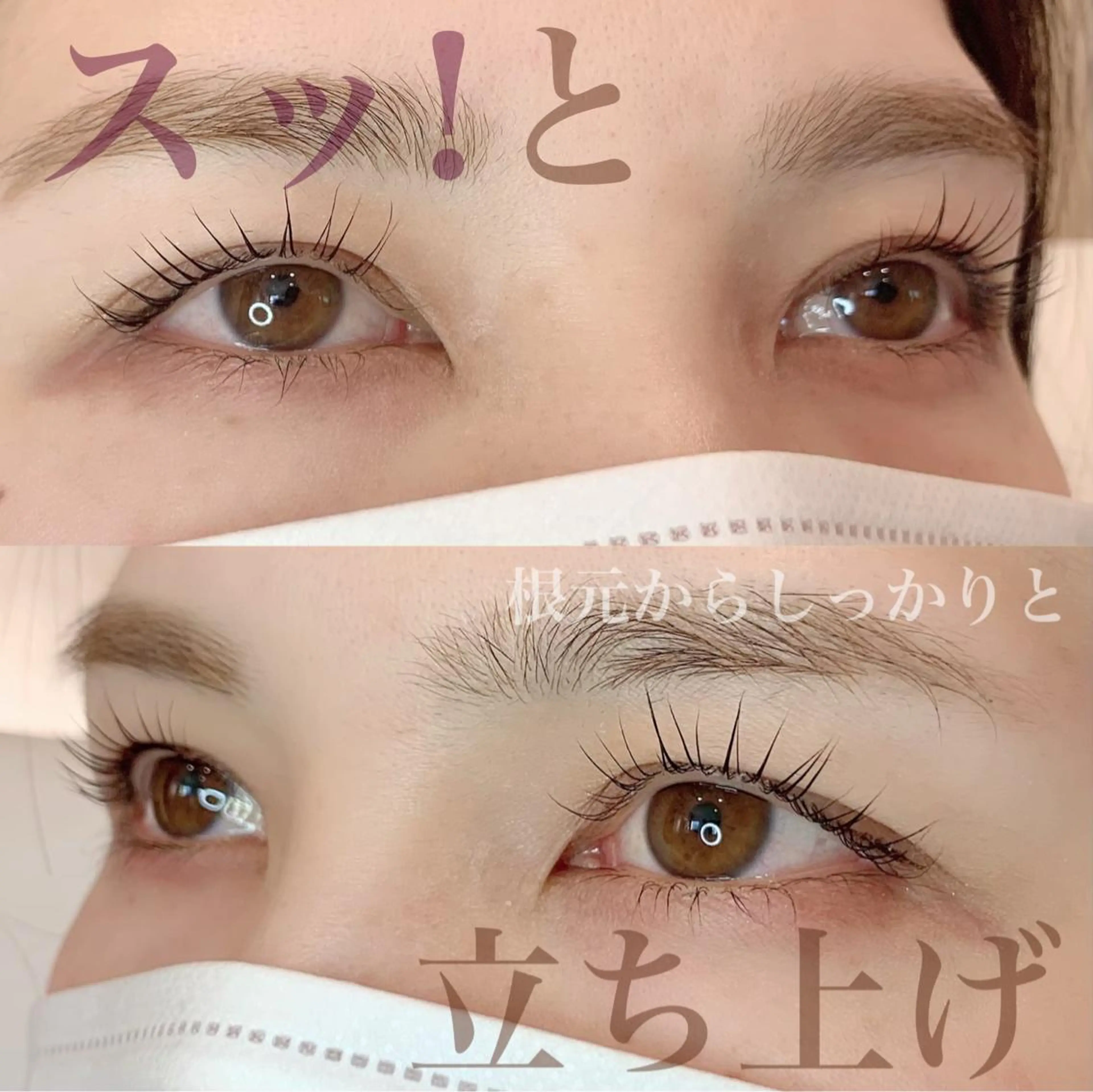 マツエク・マツパ マツパ シェリール✳︎ Erinaのマツエク・マツパデザイン