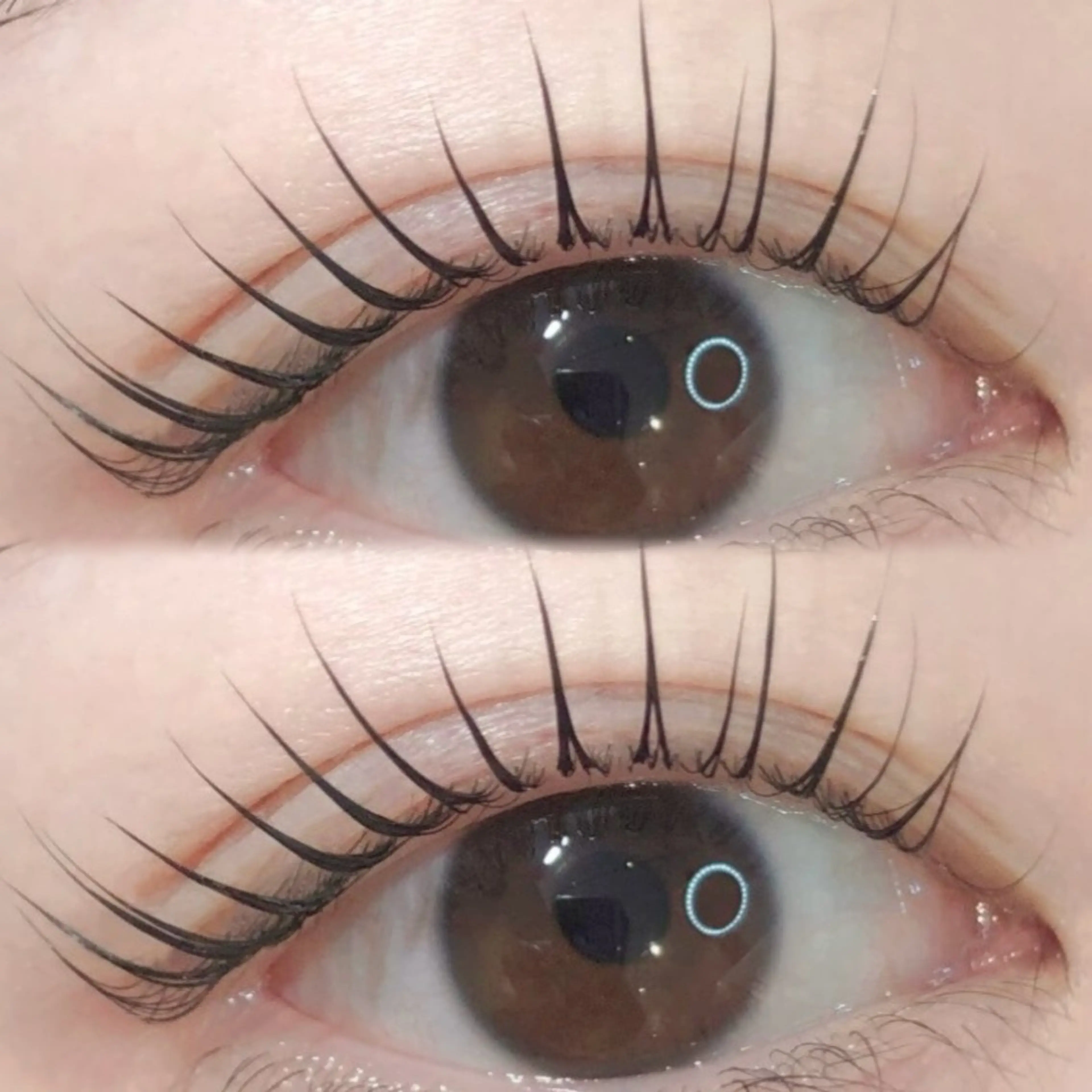 【目力up♪】人気No.1メニュー!パリジェンヌラッシュリフト🌷トリートメント&アイパック付き🌷の写真