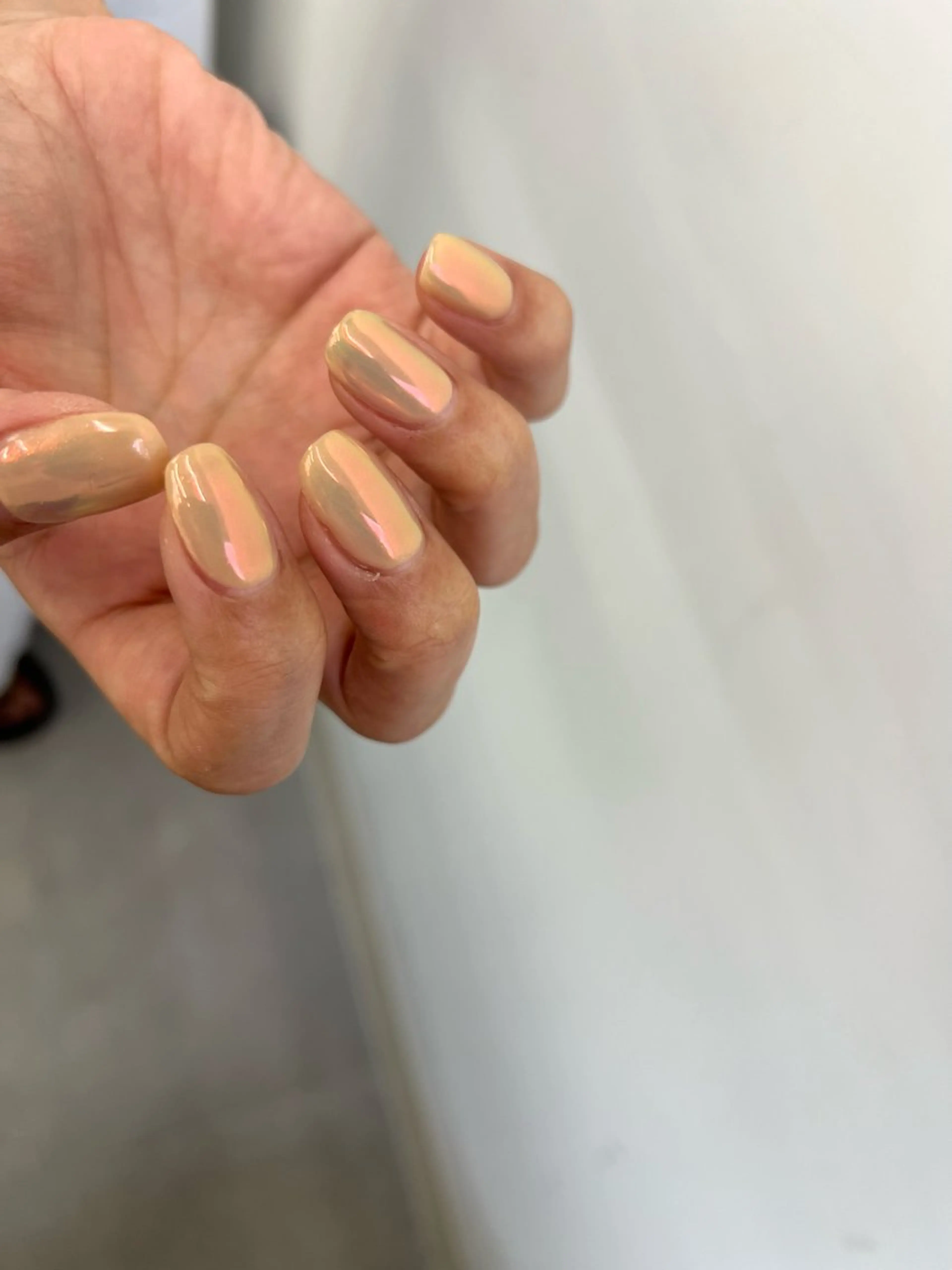 ネイル オーロラネイル ワンカラーネイル nail salon te.enのネイルデザイン