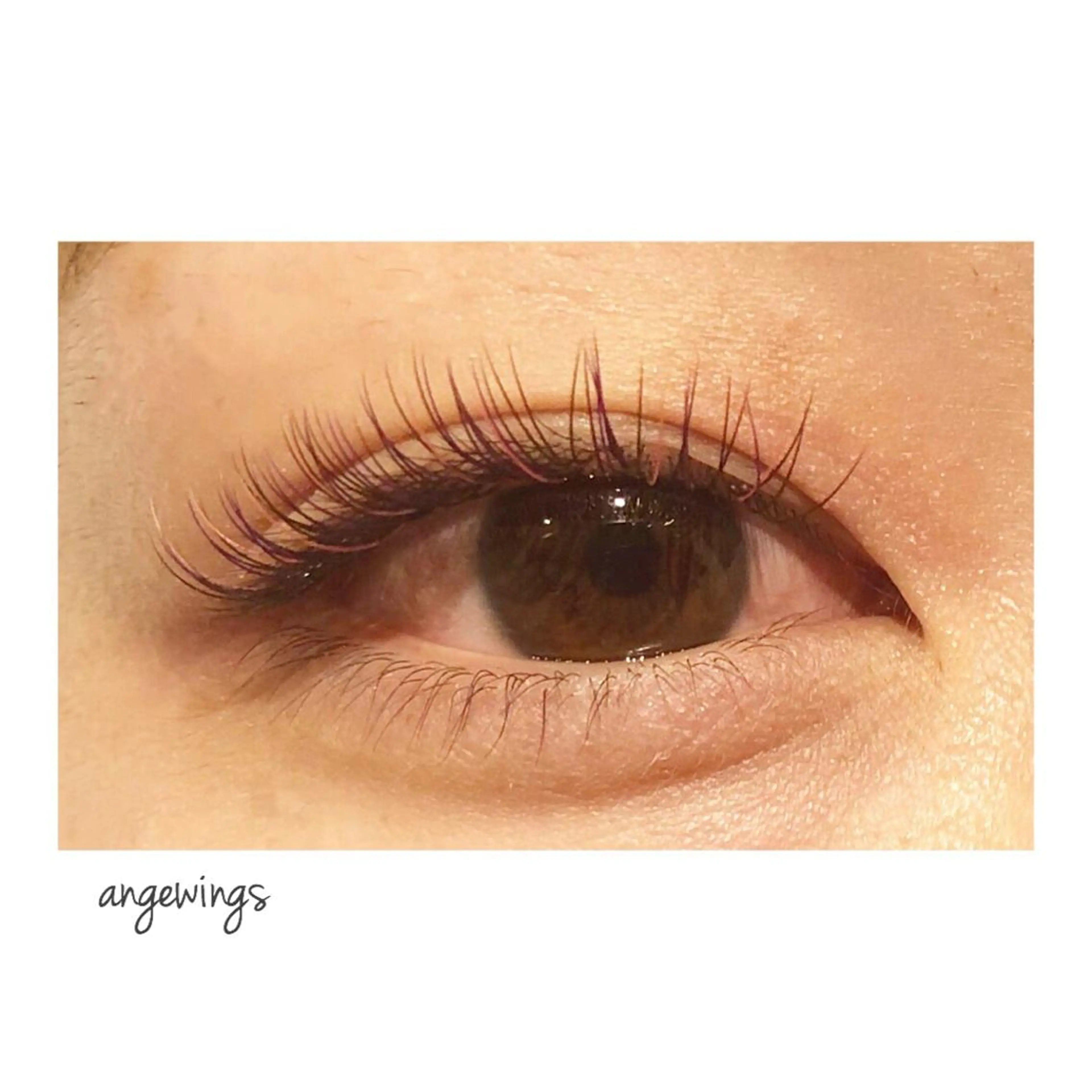 ミニモ限定💜カラーマツエク上まつ毛100本の写真