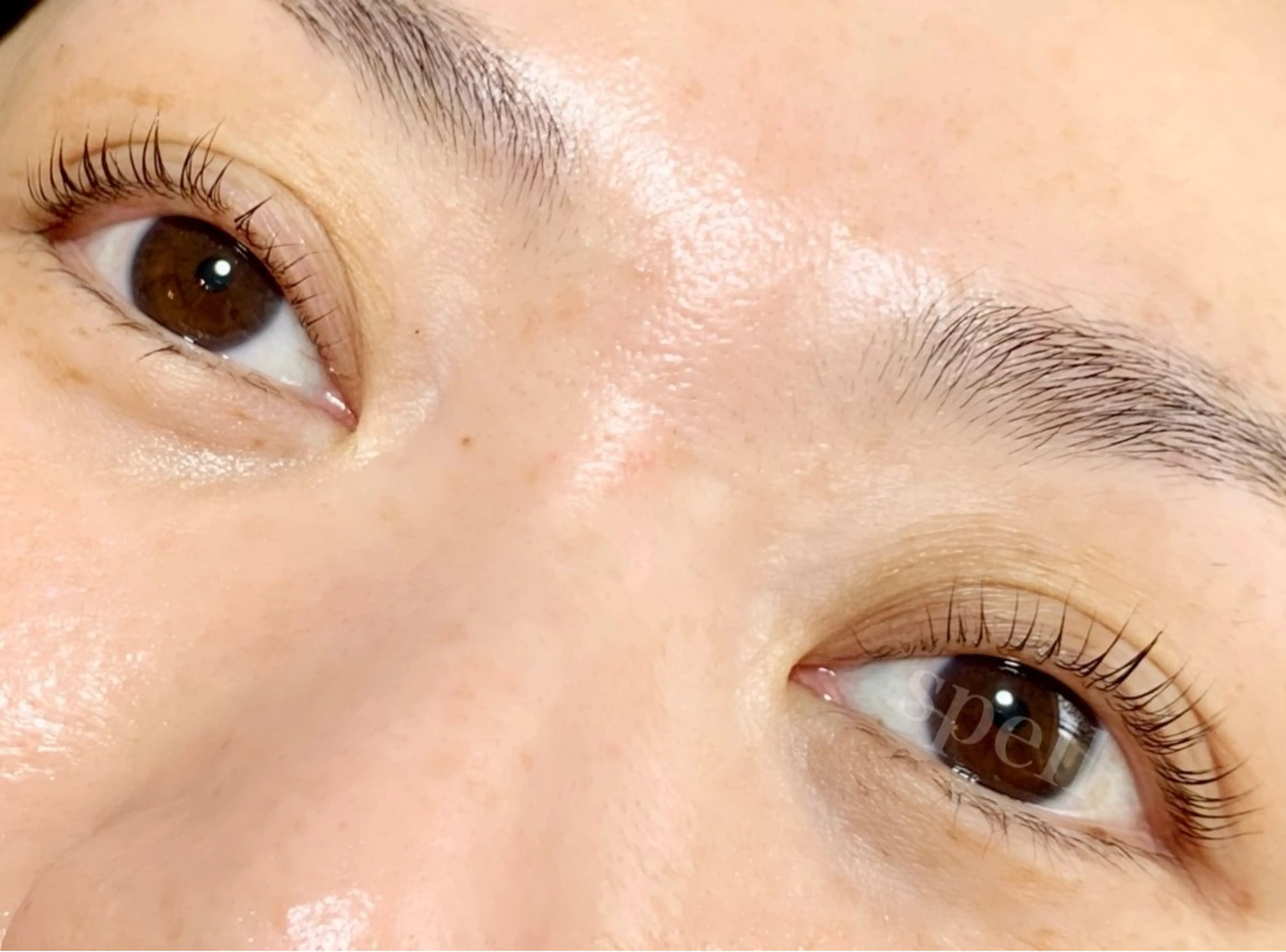 マツエク・マツパ マツパ spell_eyelash所属・spell eyelashのマツエク・マツパデザイン