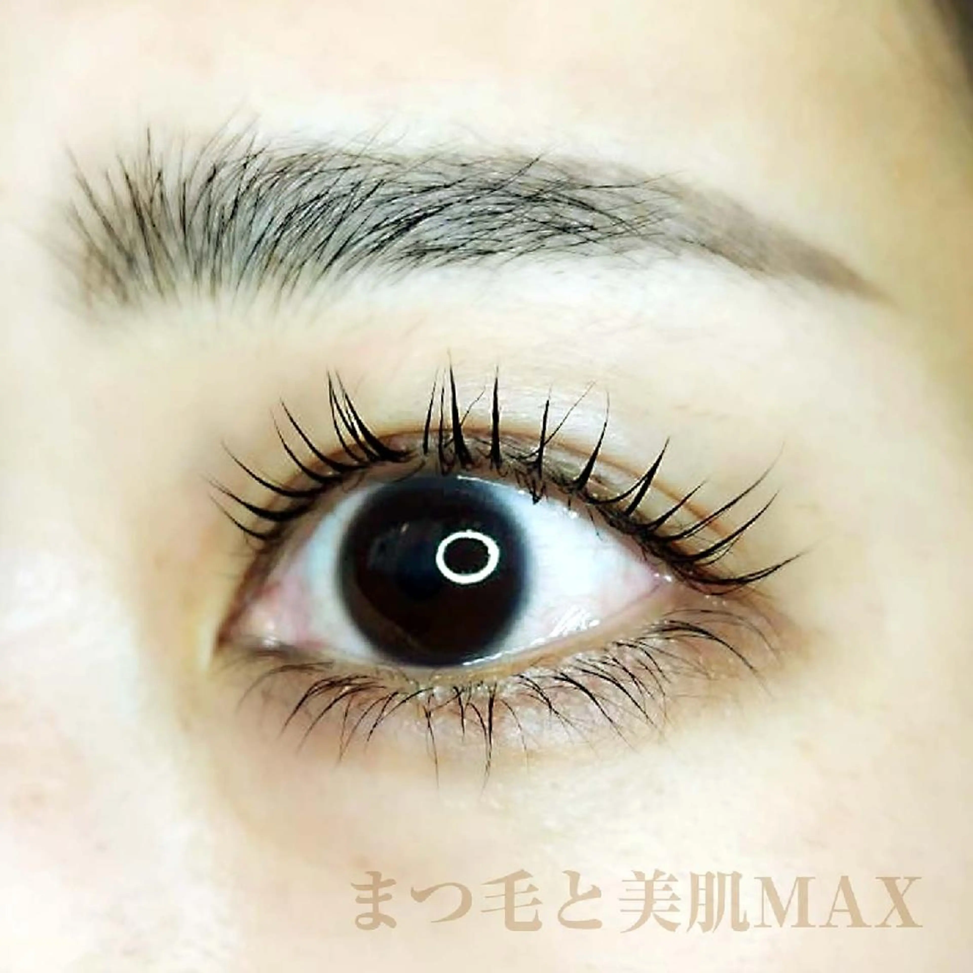 マツエク・マツパ 下まつげエクステ 一重×まつ毛パーマ マツパ MAXまつ毛&  フェイシャルのマツエク・マツパデザイン