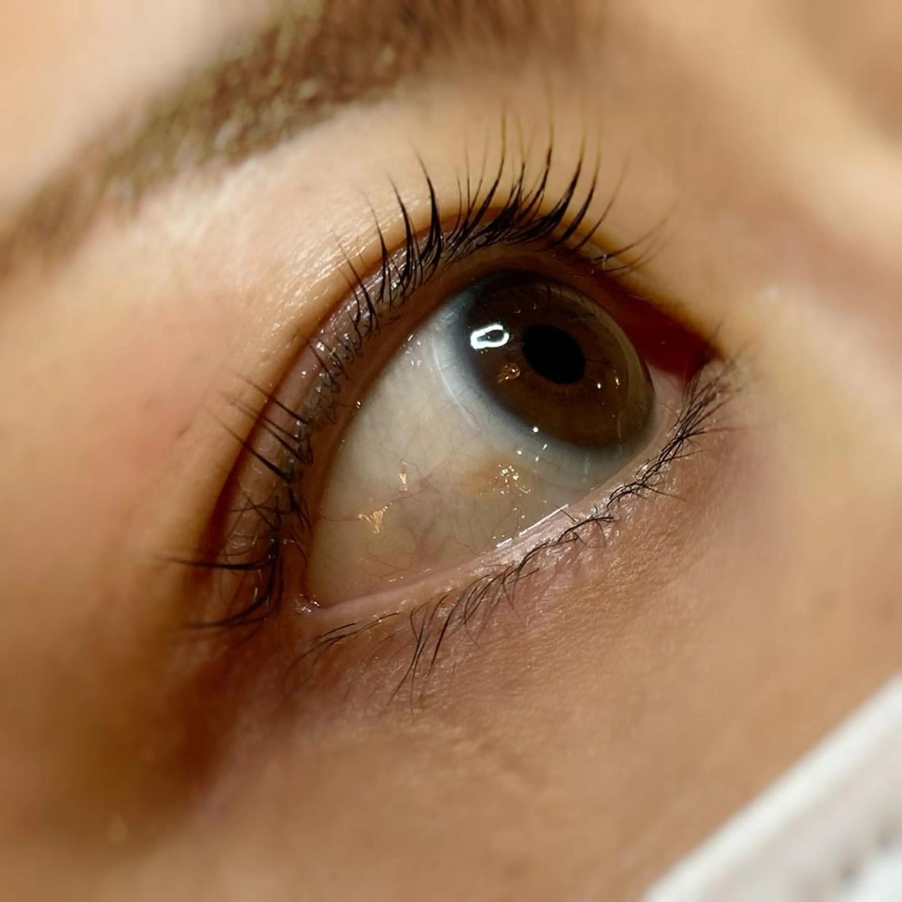マツエク・マツパ パリジェンヌラッシュリフト EYELASHSALON  PINO所属・eyelash salon PINOのマツエク・マツパデザイン