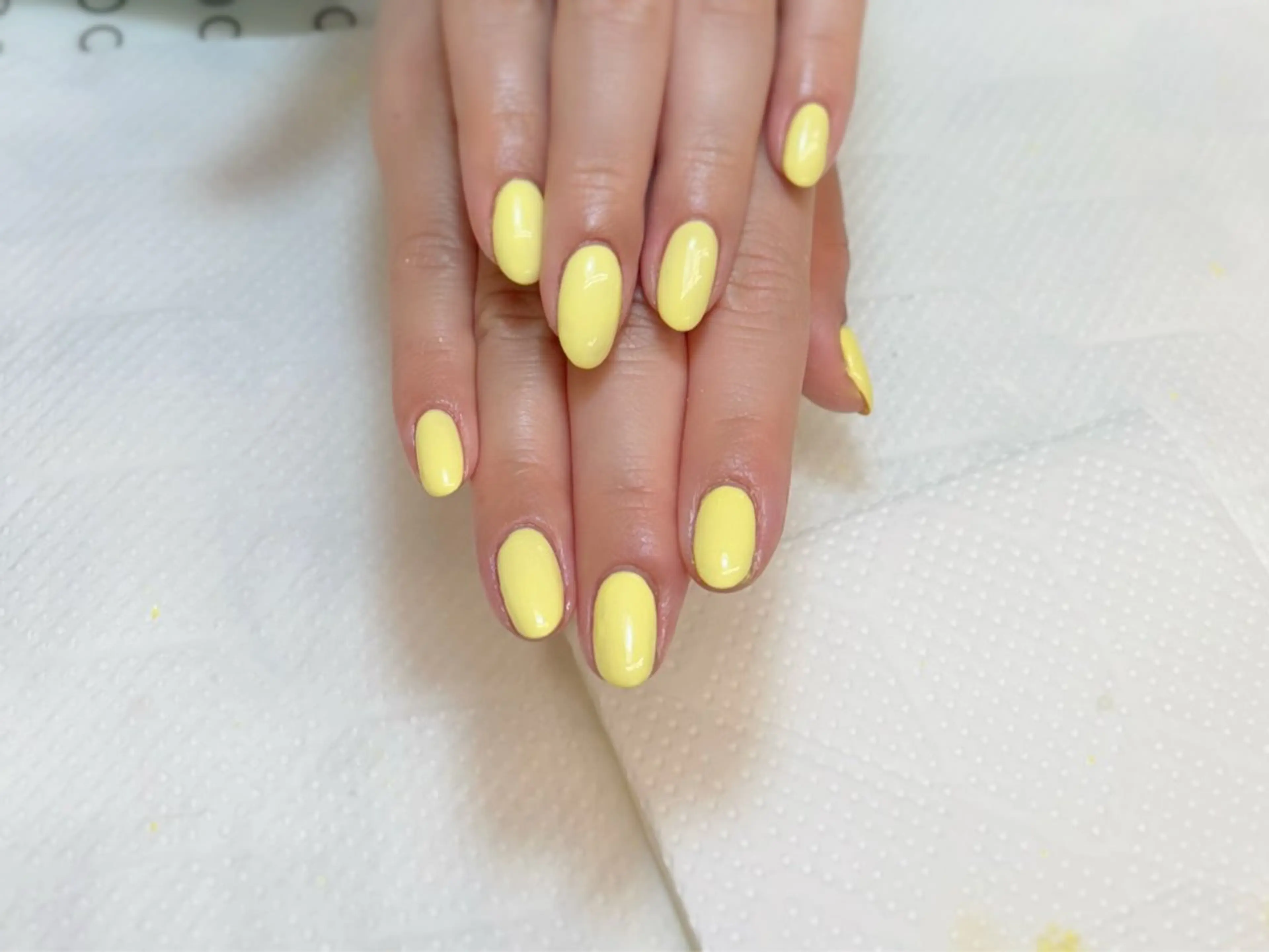 ネイル 春ネイル 黄色 ハンドネイル Alisa nail Timiのネイルデザイン