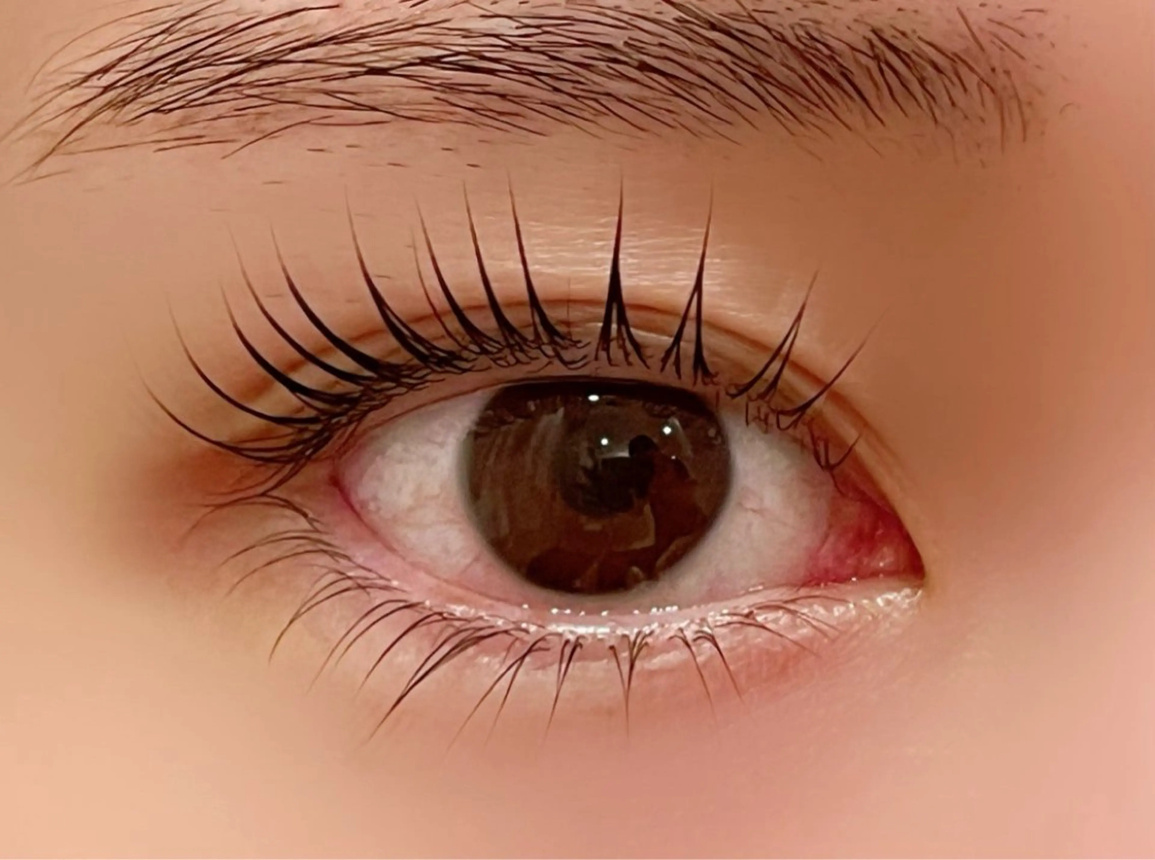 マツエク・マツパ マツパ Rinto/ makoの眉毛・アイブロウイメージ