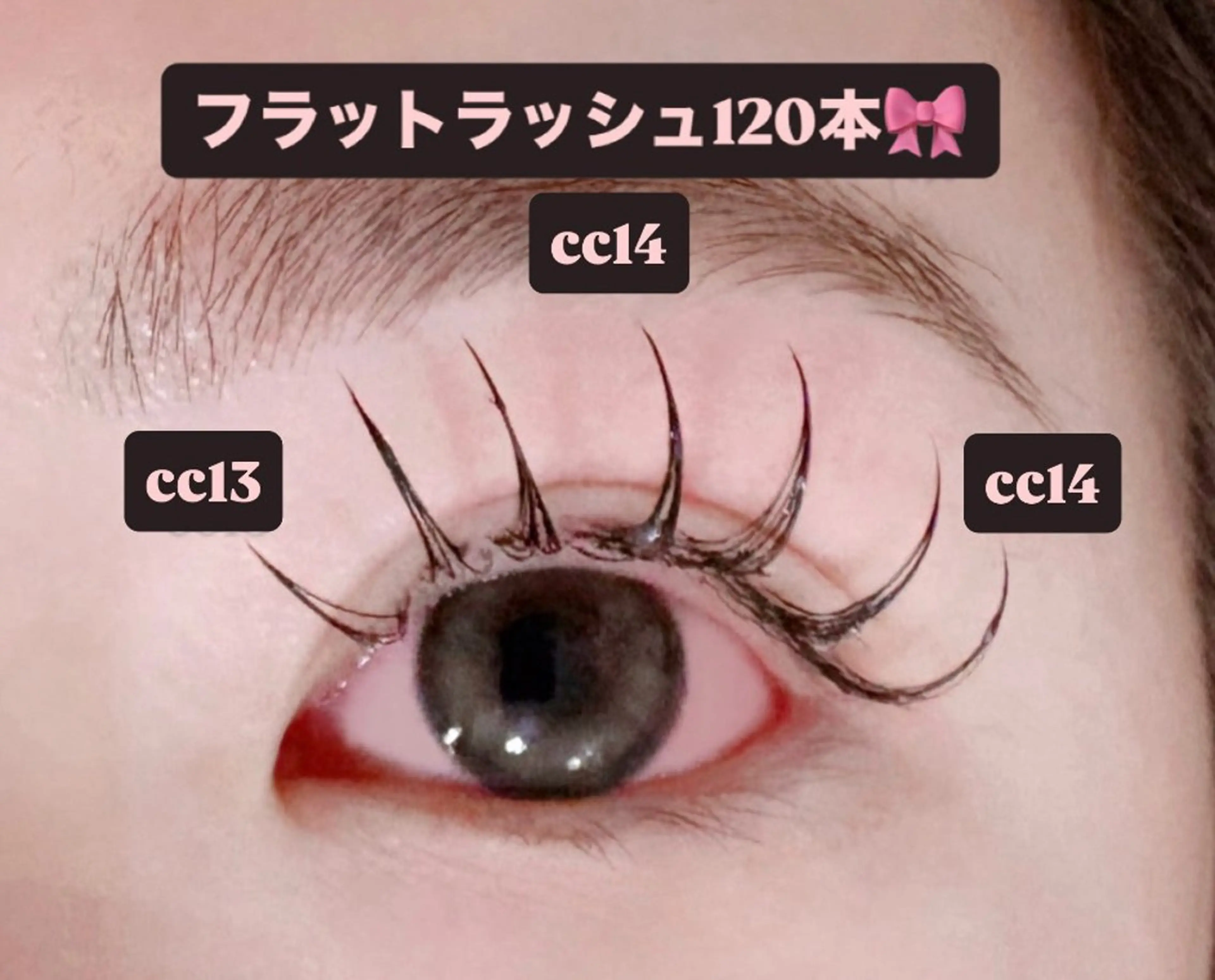 マツエク・マツパ 束感まつ毛 フラットラッシュ マツエク 🎀ROAR🎀 SAYAのマツエク・マツパデザイン