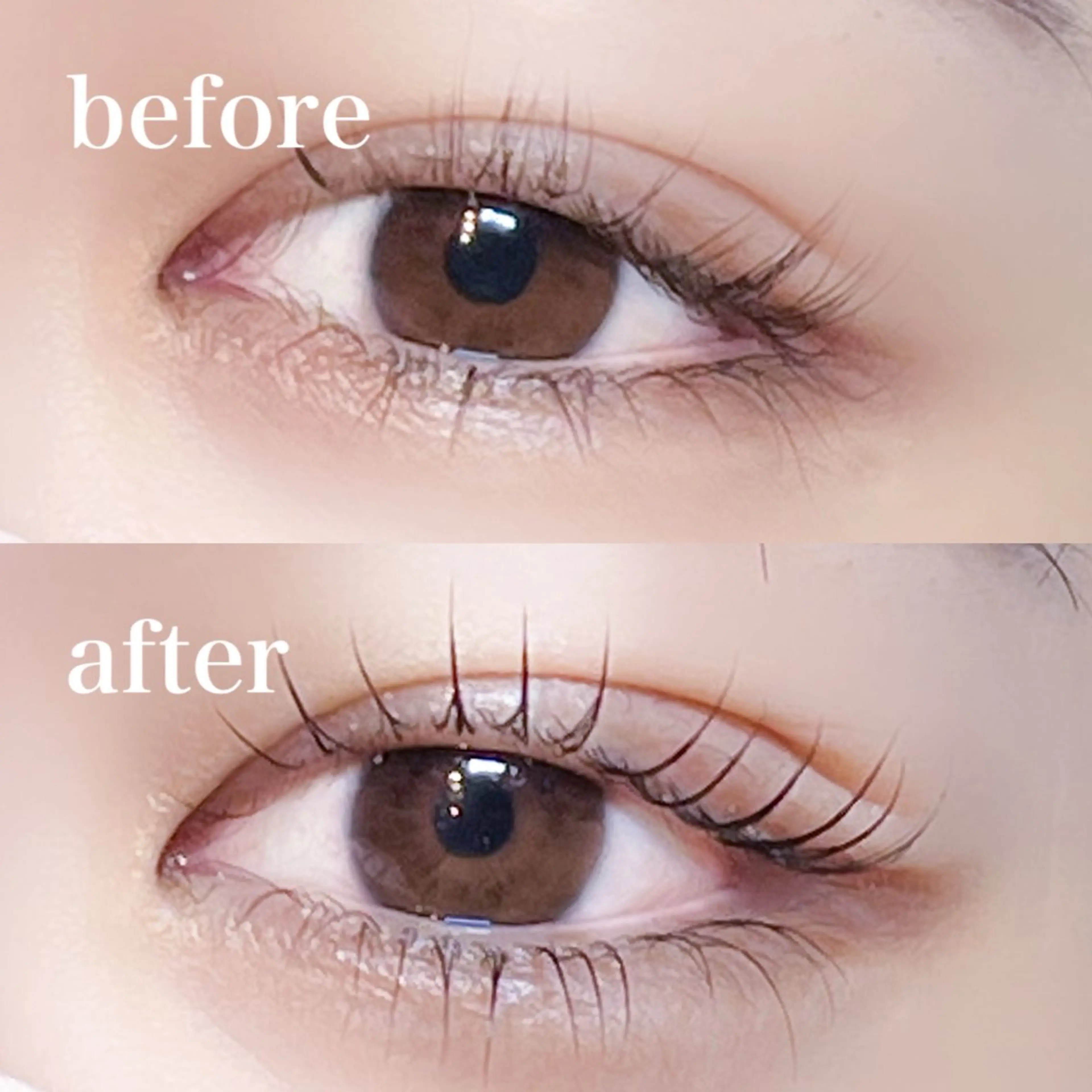 マツエク・マツパ マツパ 仙台/束感まつげ💐 🎀Mizukiのマツエク・マツパデザイン