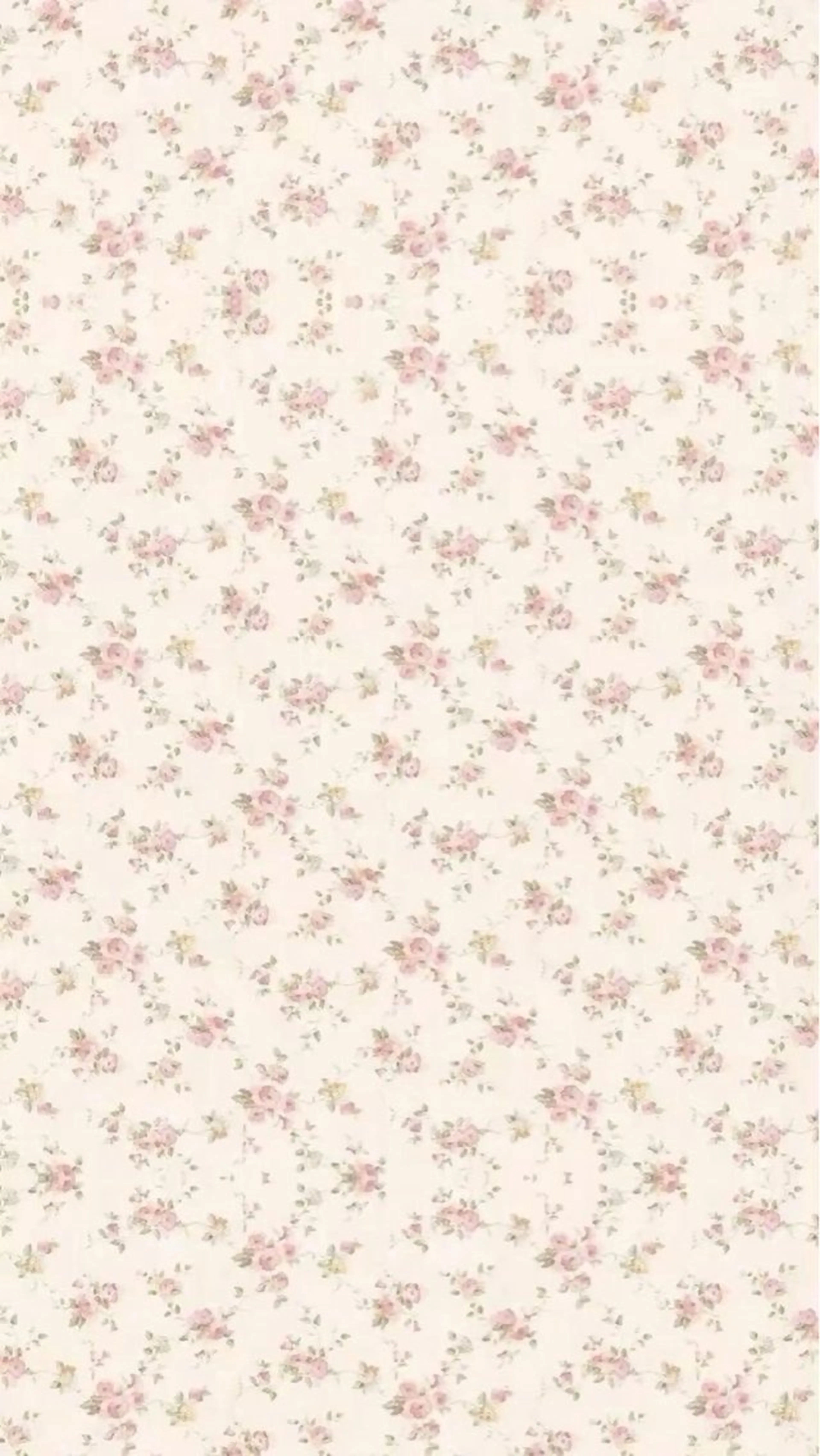 Rairia nail所属・Rairia momoka🎀✨のマツエク・マツパデザイン