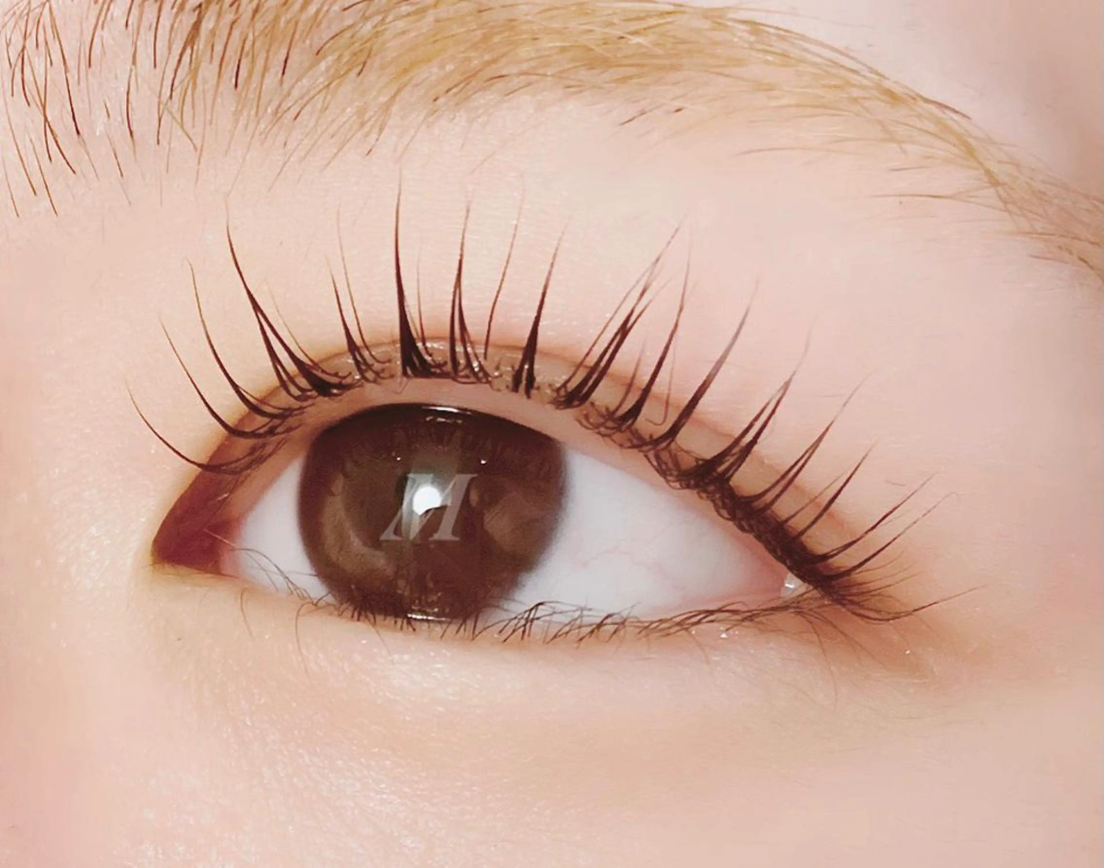 マツエク・マツパ マツパ eminy lash 【エミニーラッシュ】のマツエク・マツパデザイン