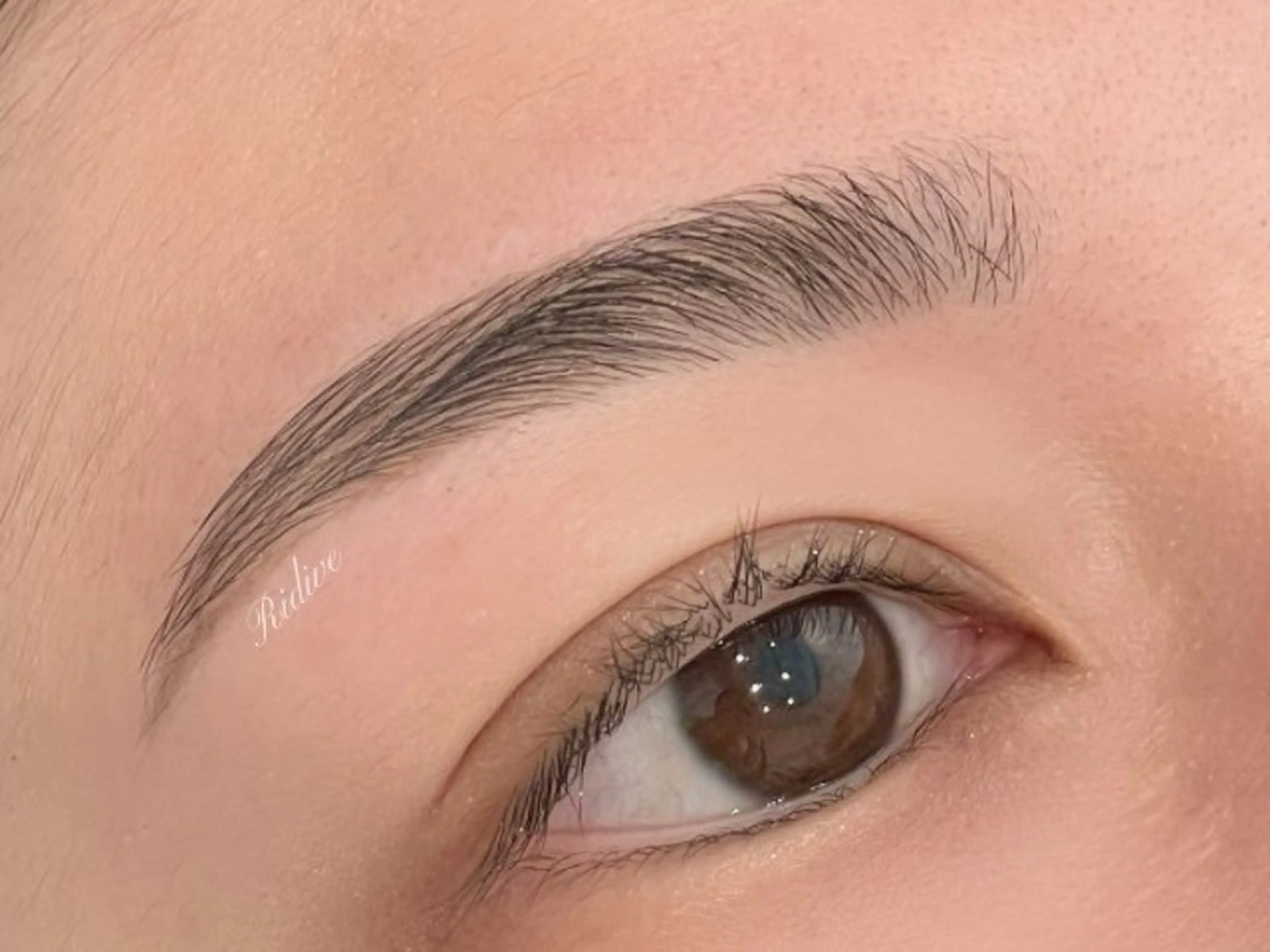アイブロウ Ridive momokaの眉毛・アイブロウイメージ