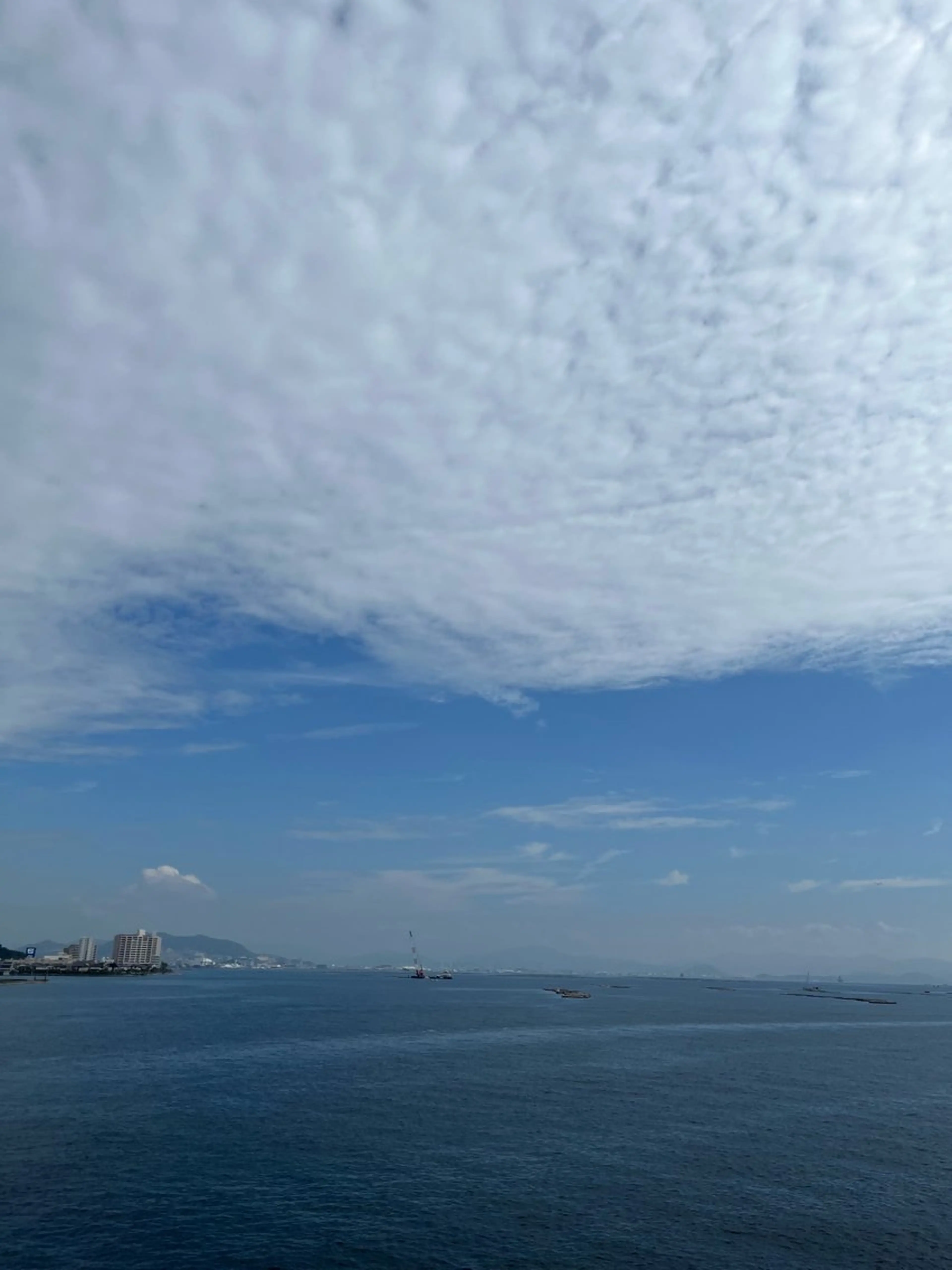 ●special foot care (角質ケア) ※こちらはフットメニューのオプションになりますの写真