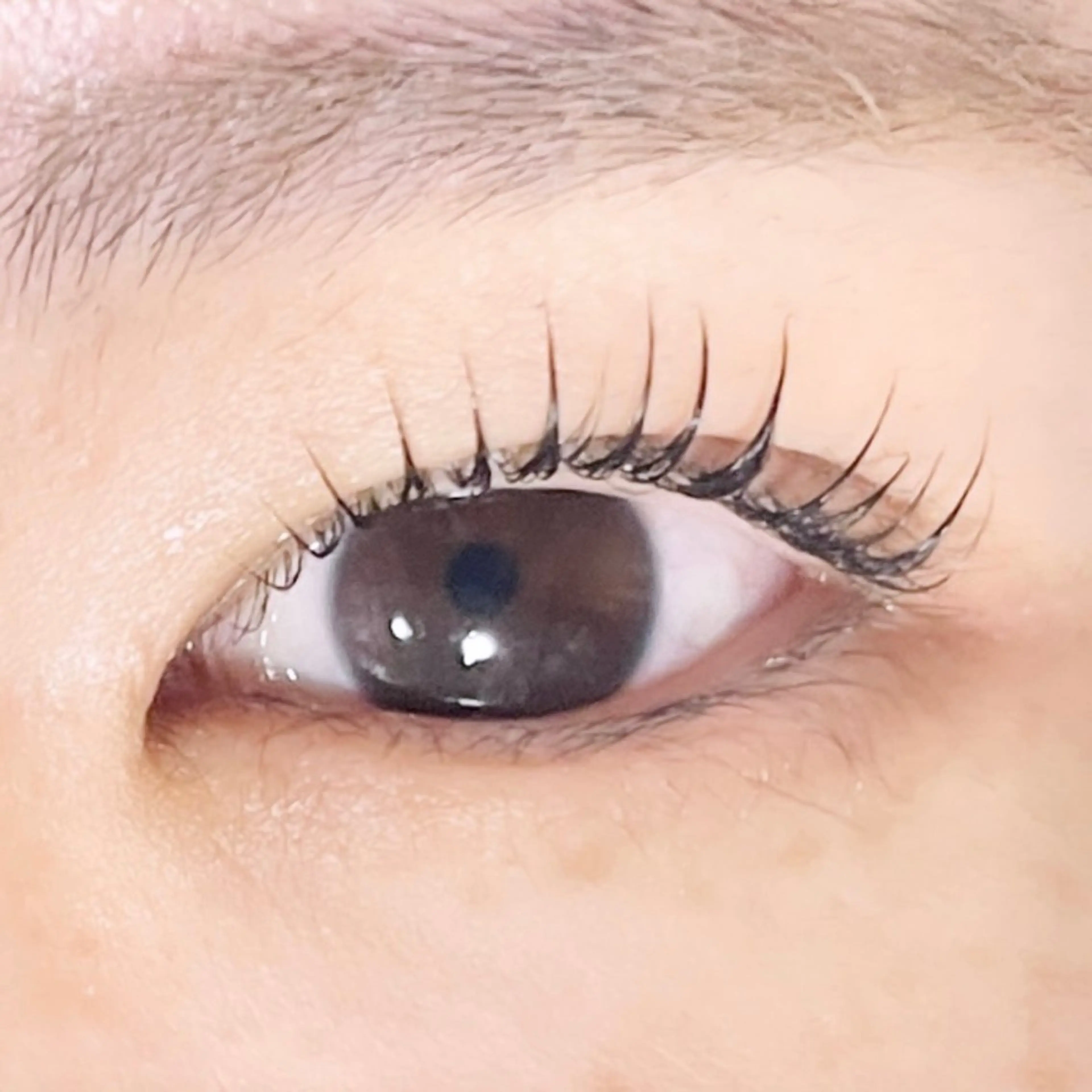 マツエク・マツパ TAKEO🖤 マリーテレジア藤が丘のマツエク・マツパデザイン