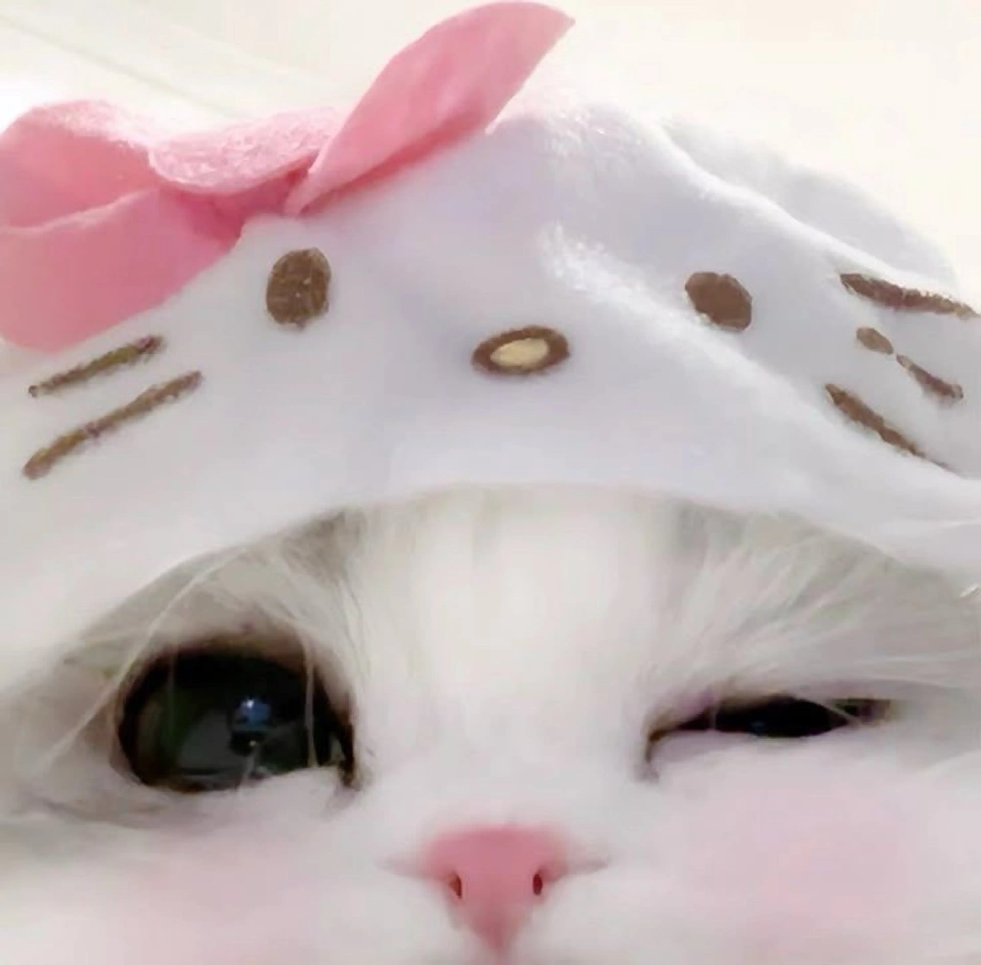 マツエク・マツパ eyelist. mizukiの眉毛・アイブロウイメージ