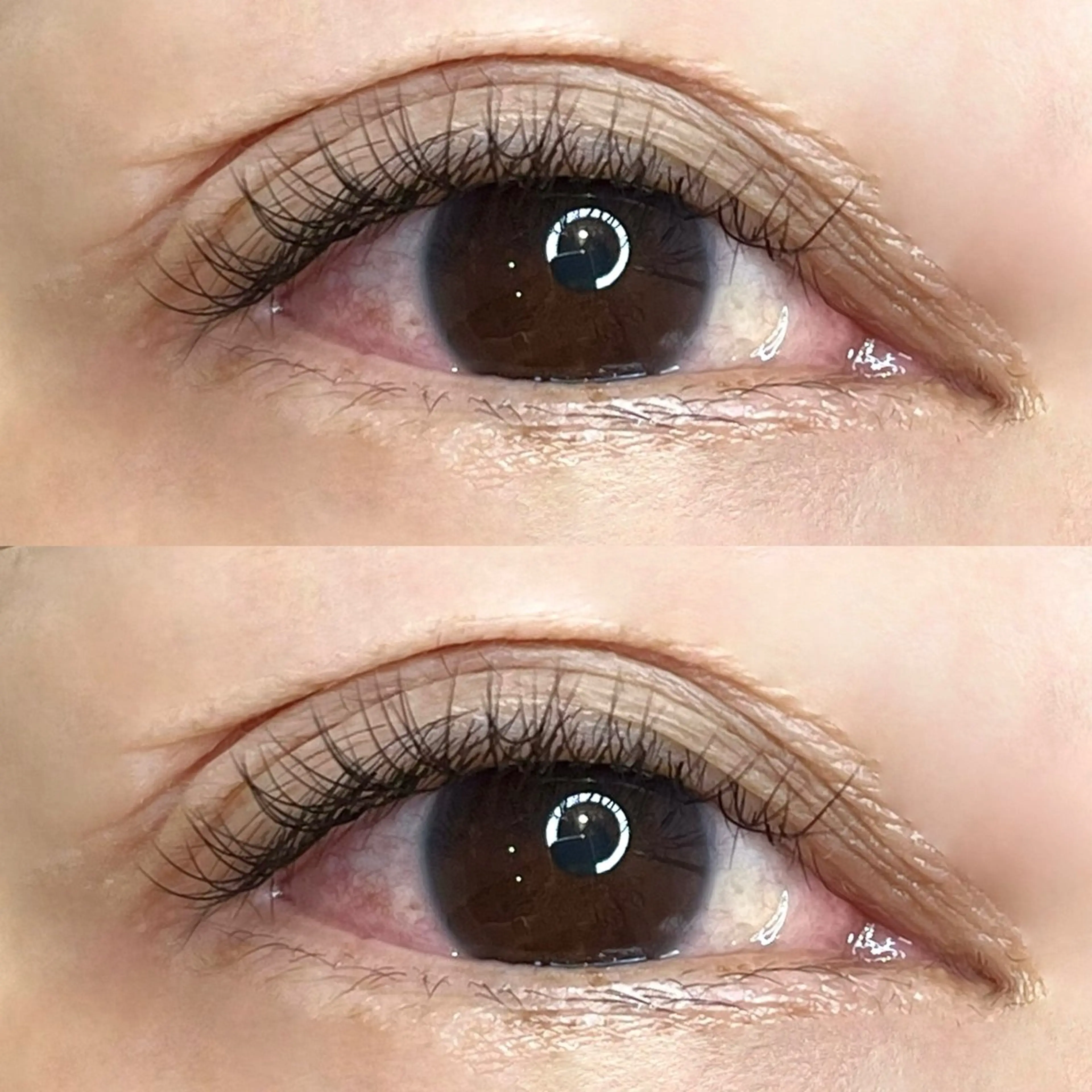 マツエク・マツパ キュート narumi .のマツエク・マツパデザイン