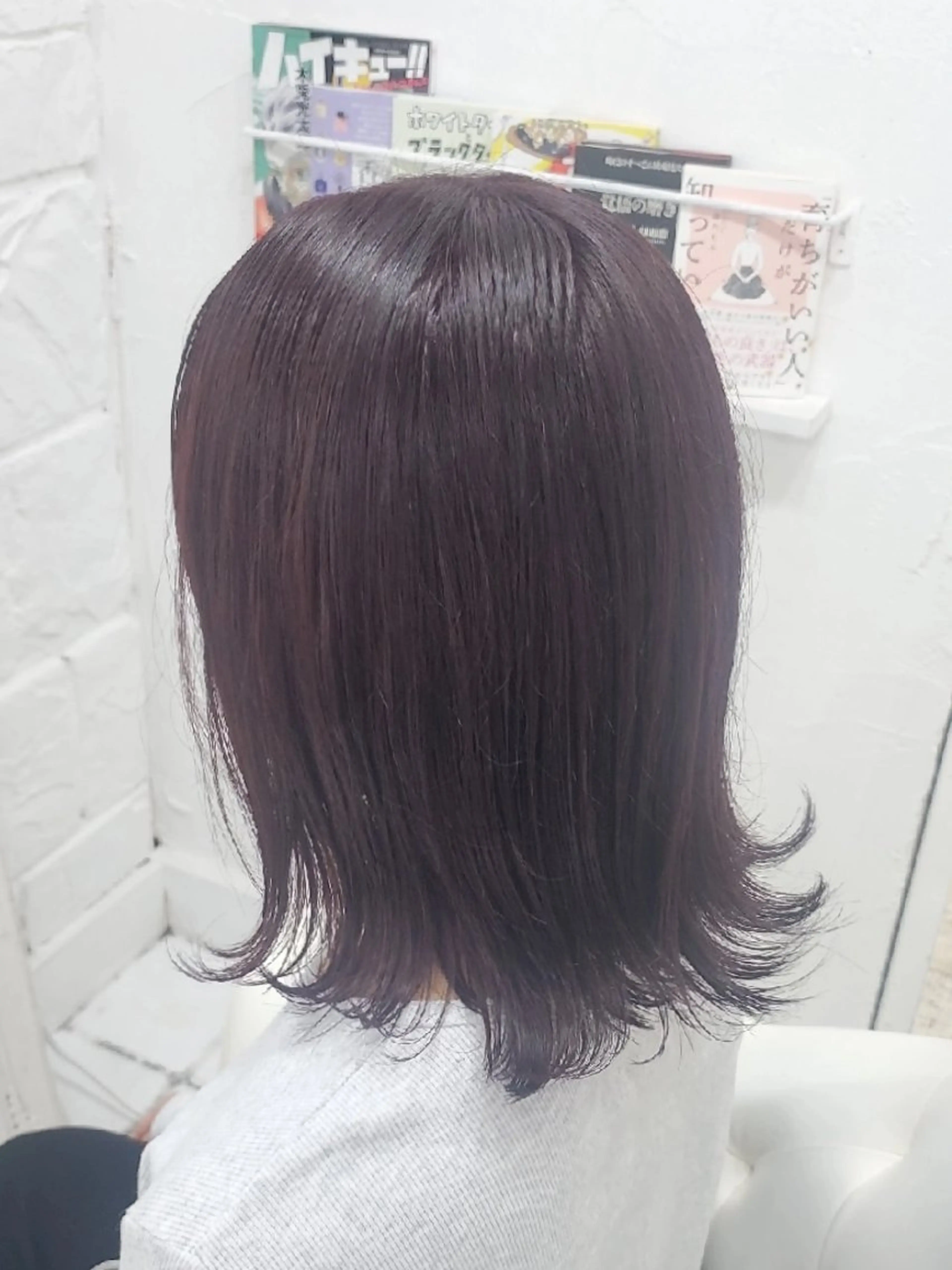 ワンカラーの写真