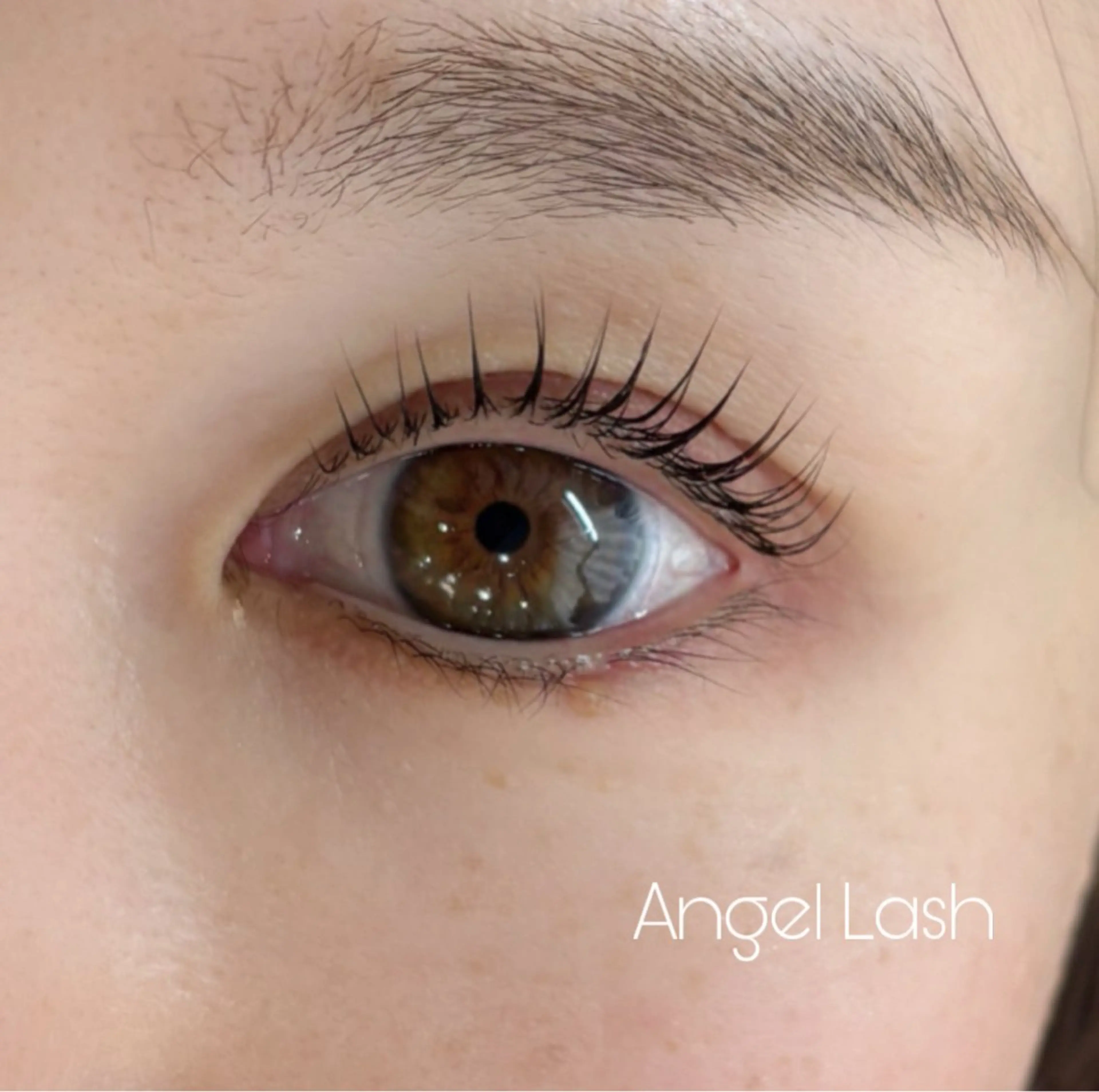 マツエク・マツパ パリジェンヌラッシュリフト マツパ AngleLash hayashiのマツエク・マツパデザイン