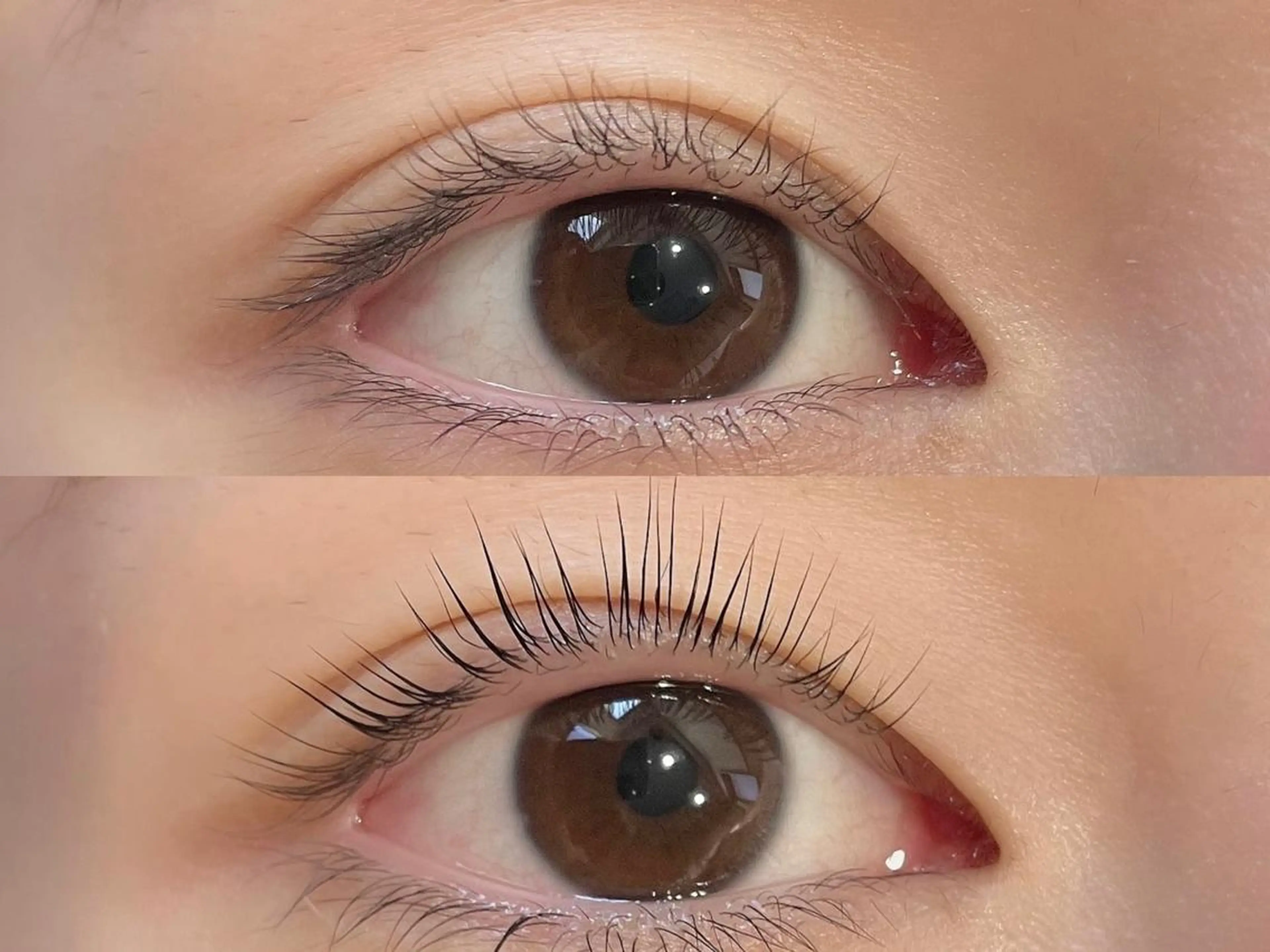 マツエク・マツパ パリジェンヌラッシュリフト まつげパーマ 眉毛専門店brow art上野店　阿部の眉毛・アイブロウイメージ