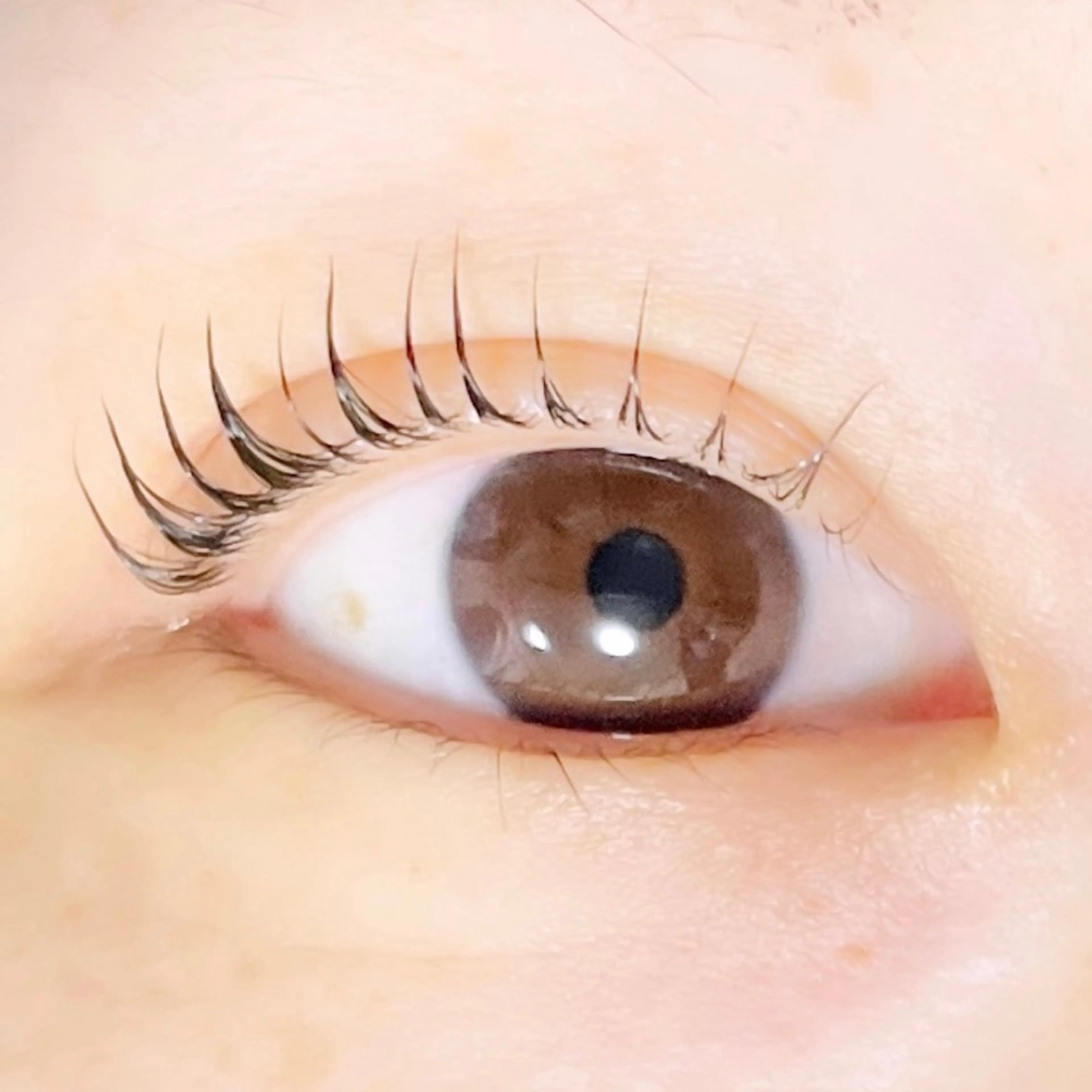 マツエク・マツパ TAKEO🖤 マリーテレジア藤が丘のマツエク・マツパデザイン