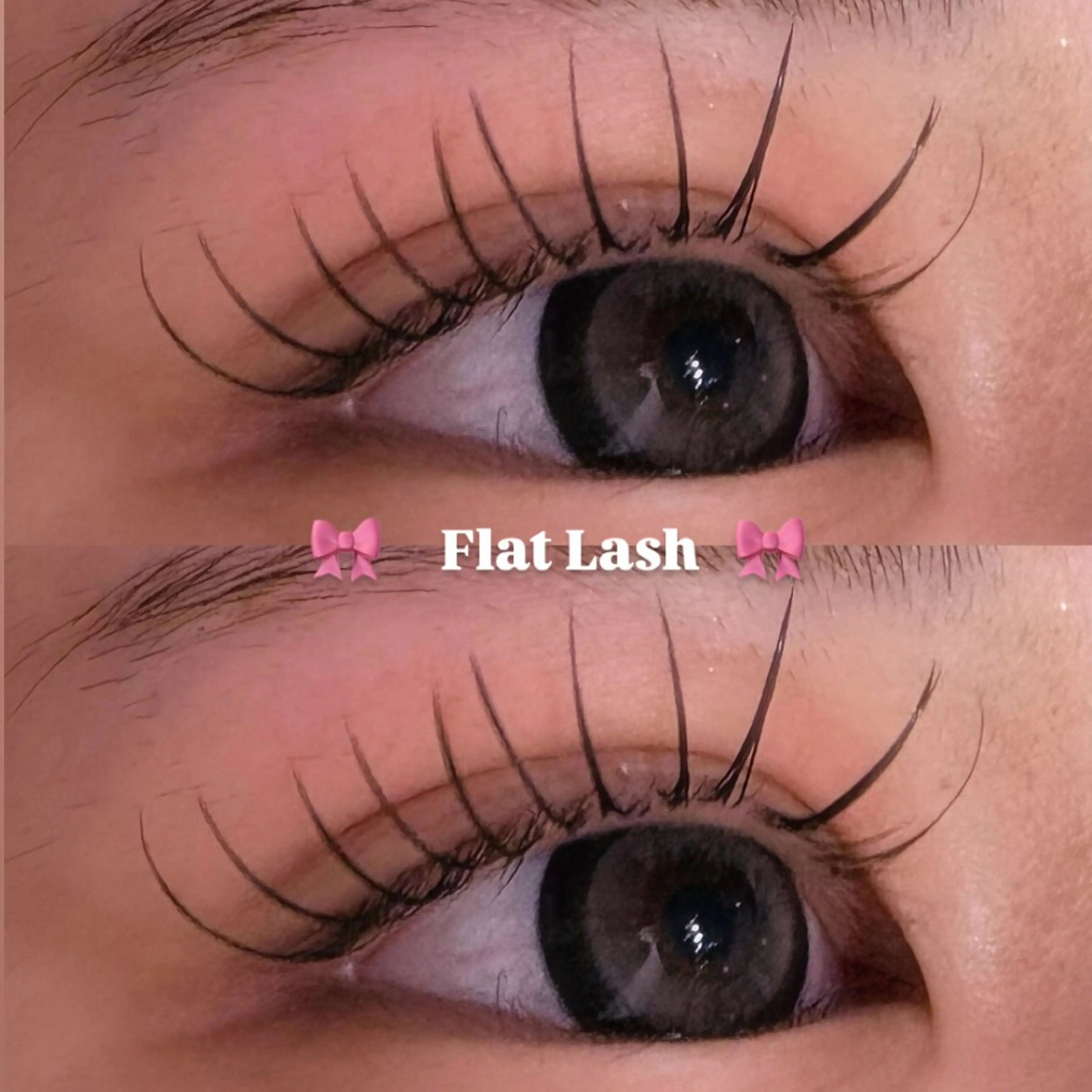 🩷プレミアムカシミアフラットラッシュ100本➕美容液コーティング🎀【オフ込】の写真