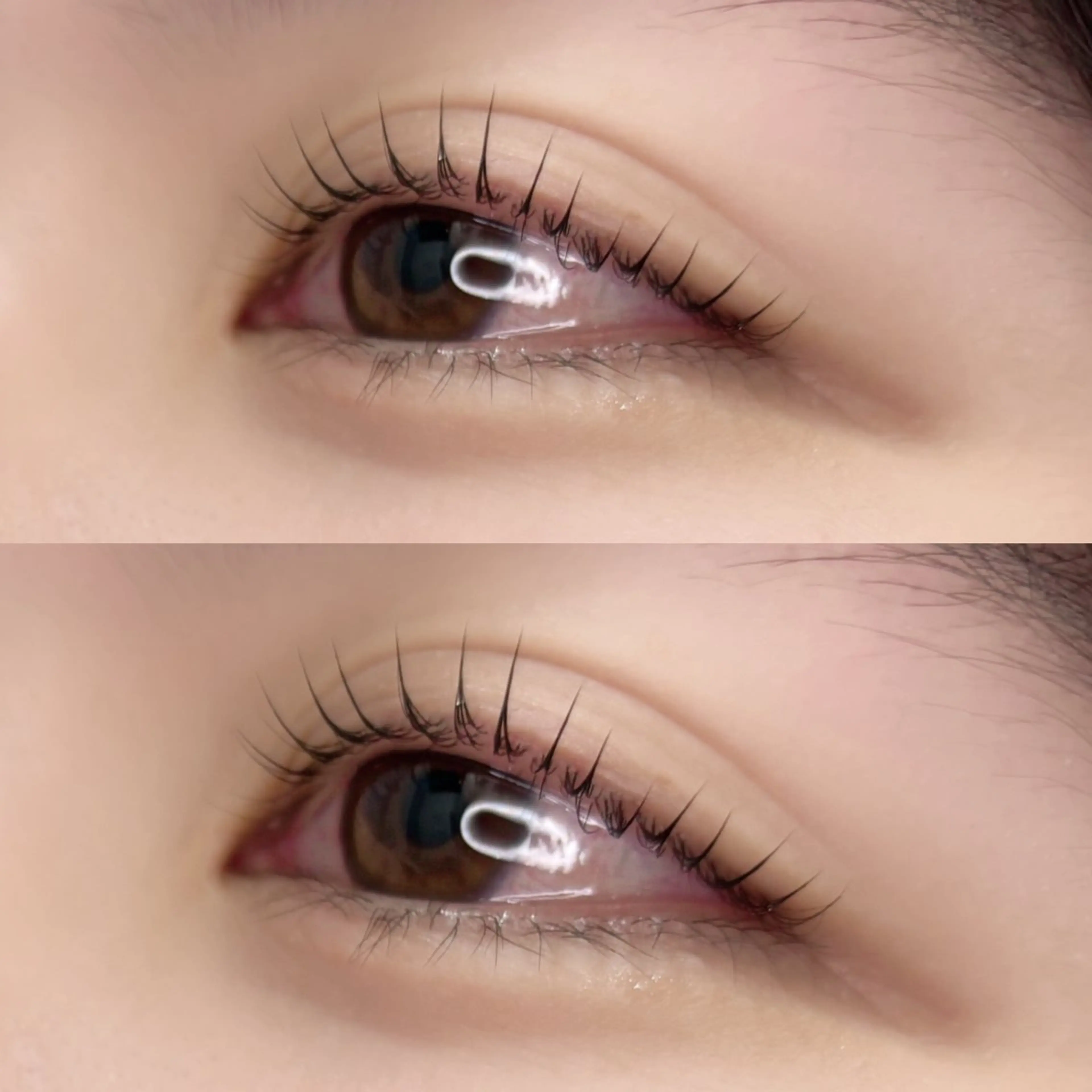 マツエク・マツパ 一重×まつ毛パーマ Lupines Asahi🔆のマツエク・マツパデザイン