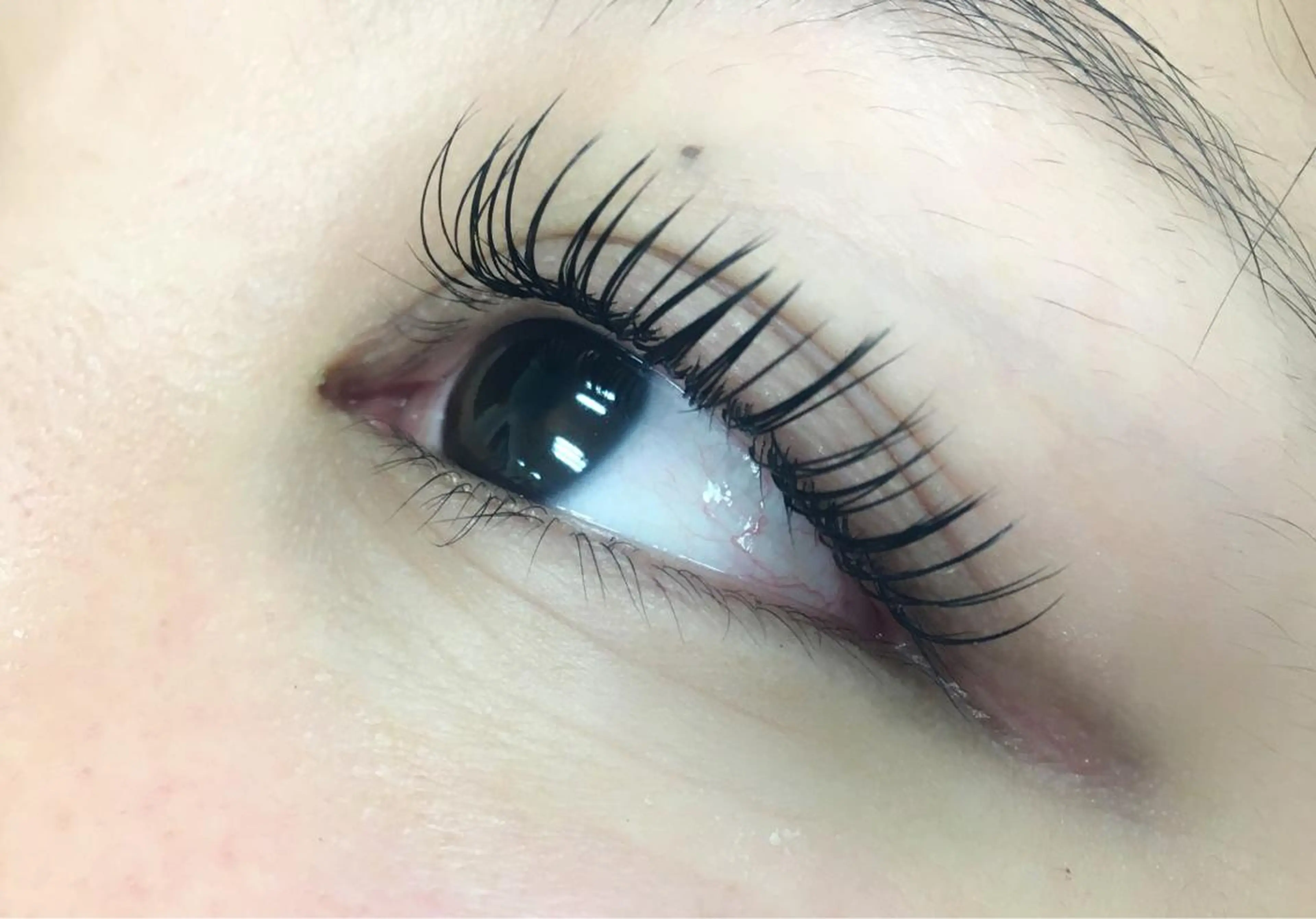 マツエク・マツパ Cカール フラットラッシュ K.Rise nail＆eye所属・sawada seinaのマツエク・マツパデザイン