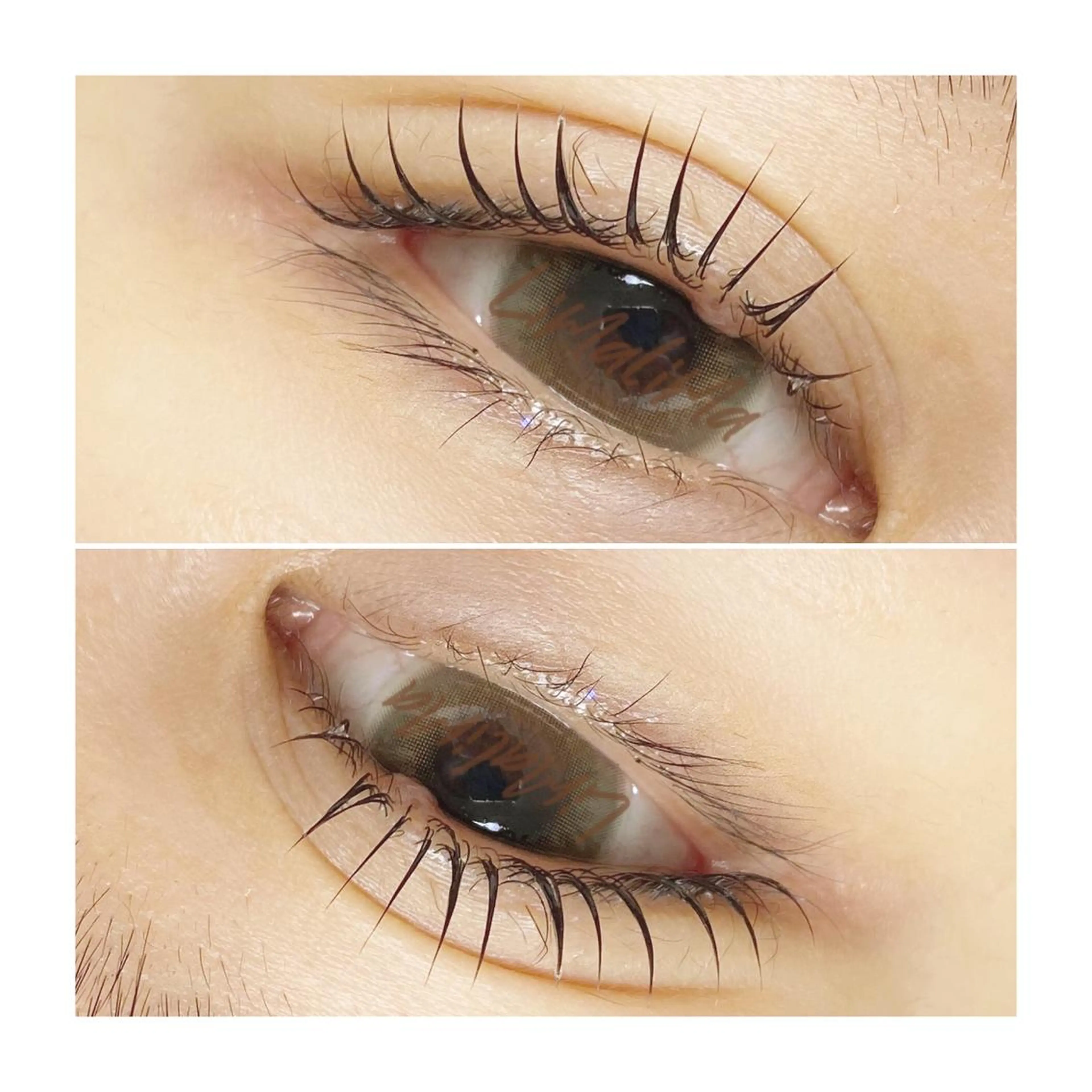 マツエク・マツパ 一重×まつ毛パーマ Limalima所属・まつ毛と眉毛の専門店 Limalima🌿のマツエク・マツパデザイン