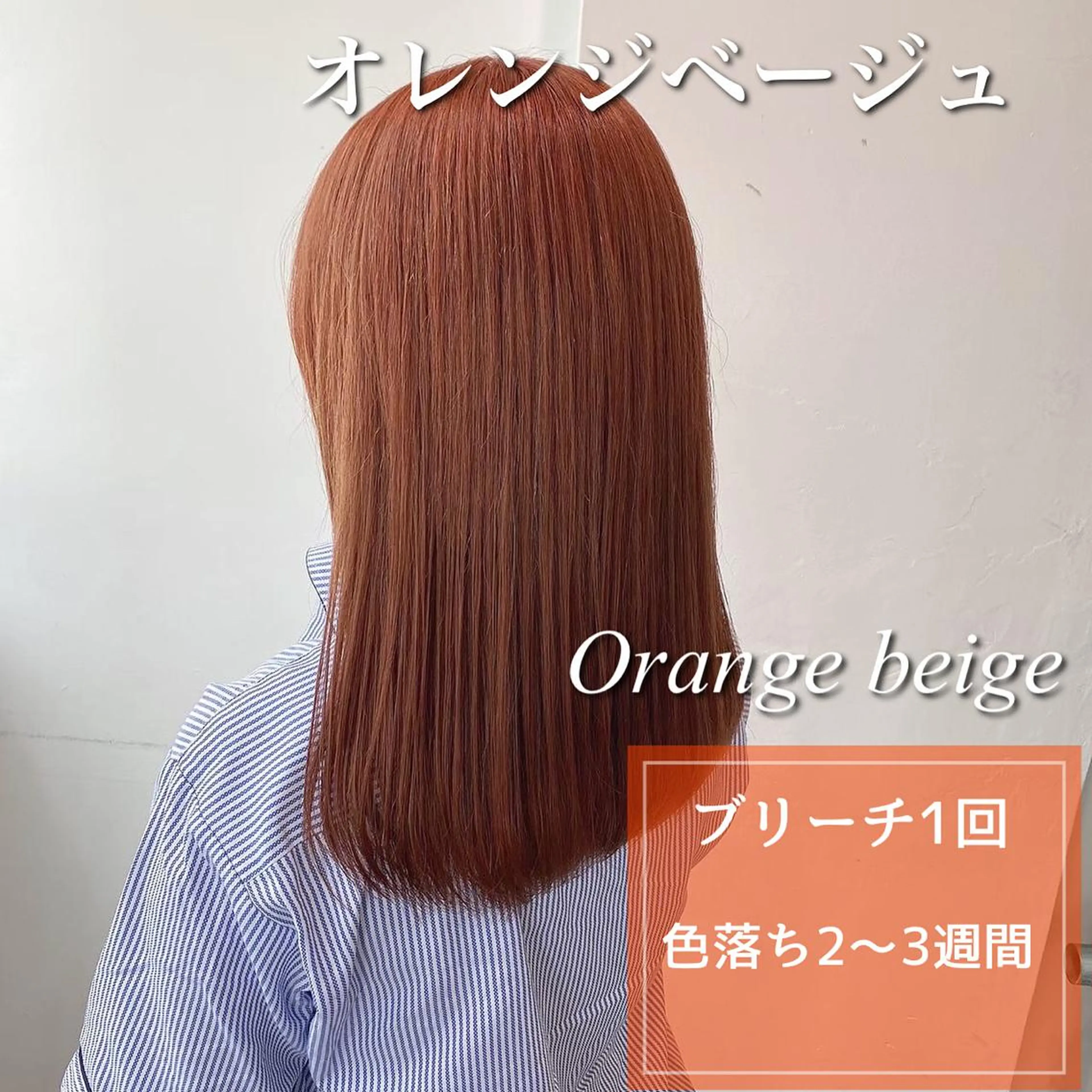 セミロング カラー ヘアアレンジ 【期間限定】 ショート特化/森澤のヘアスタイル