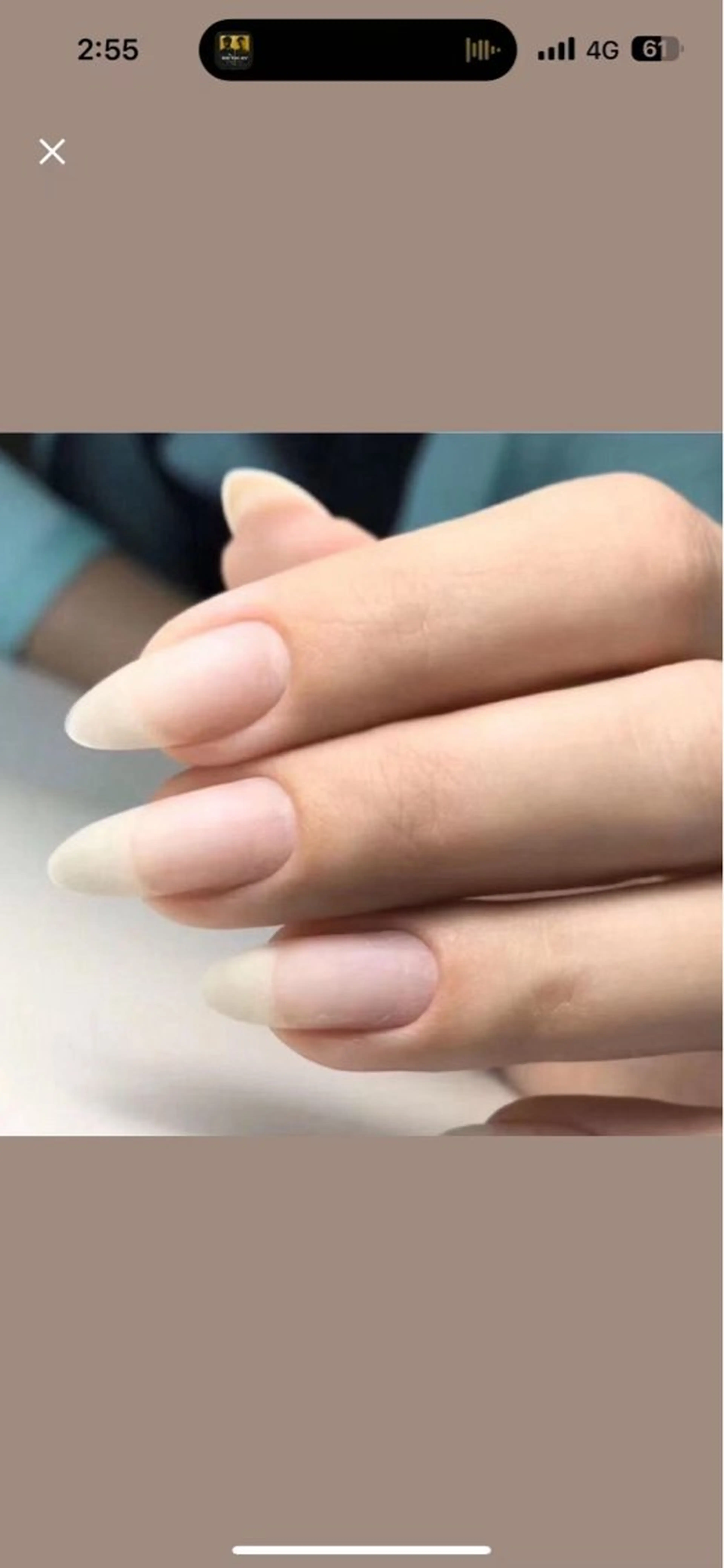 ネイル 申 善喜のネイルデザイン