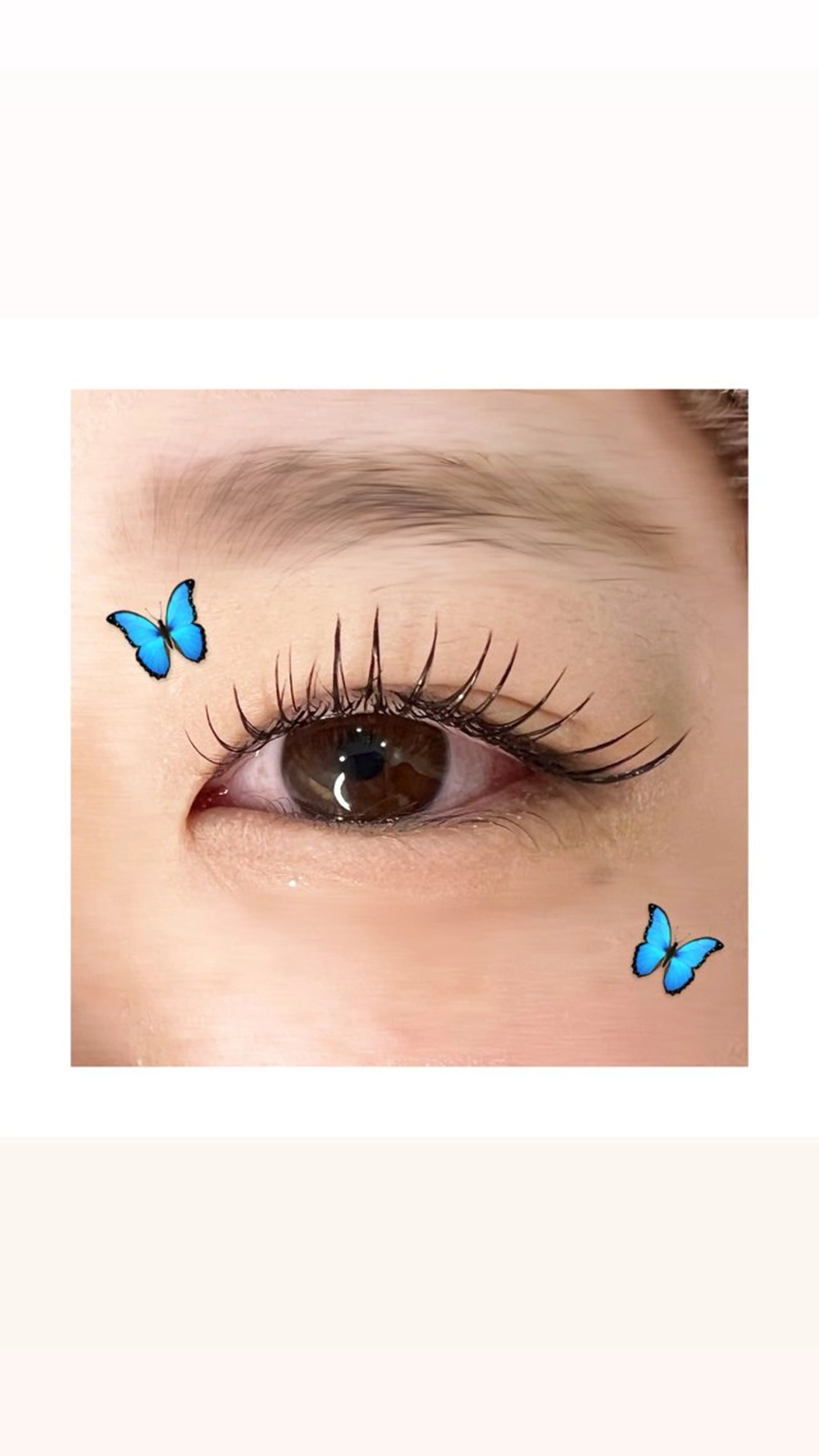 マツエク・マツパ セクシー JANIS EYELASH 円山店所属・野坂 知央のマツエク・マツパデザイン