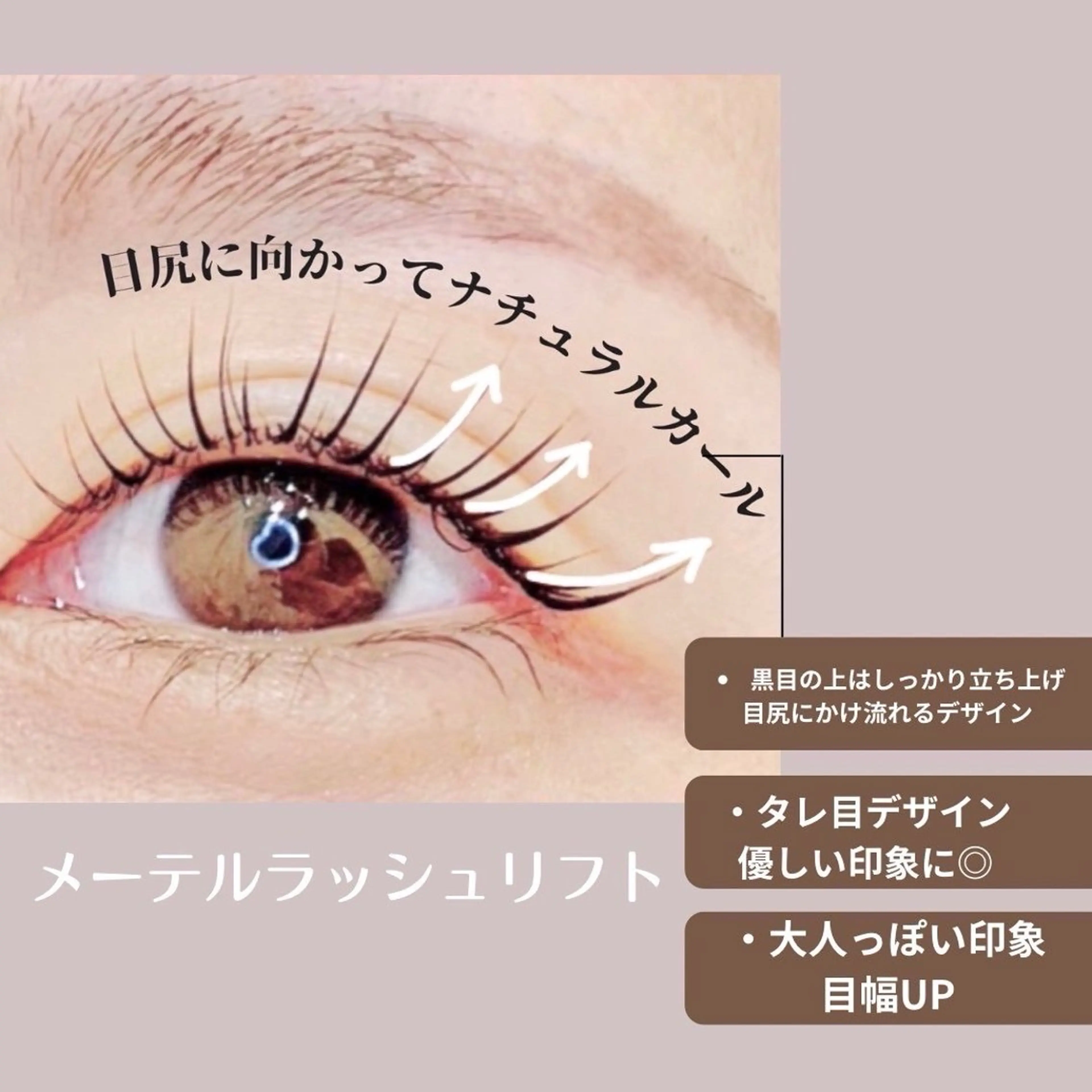 メーテルラッシュリフト ¥2,200の写真