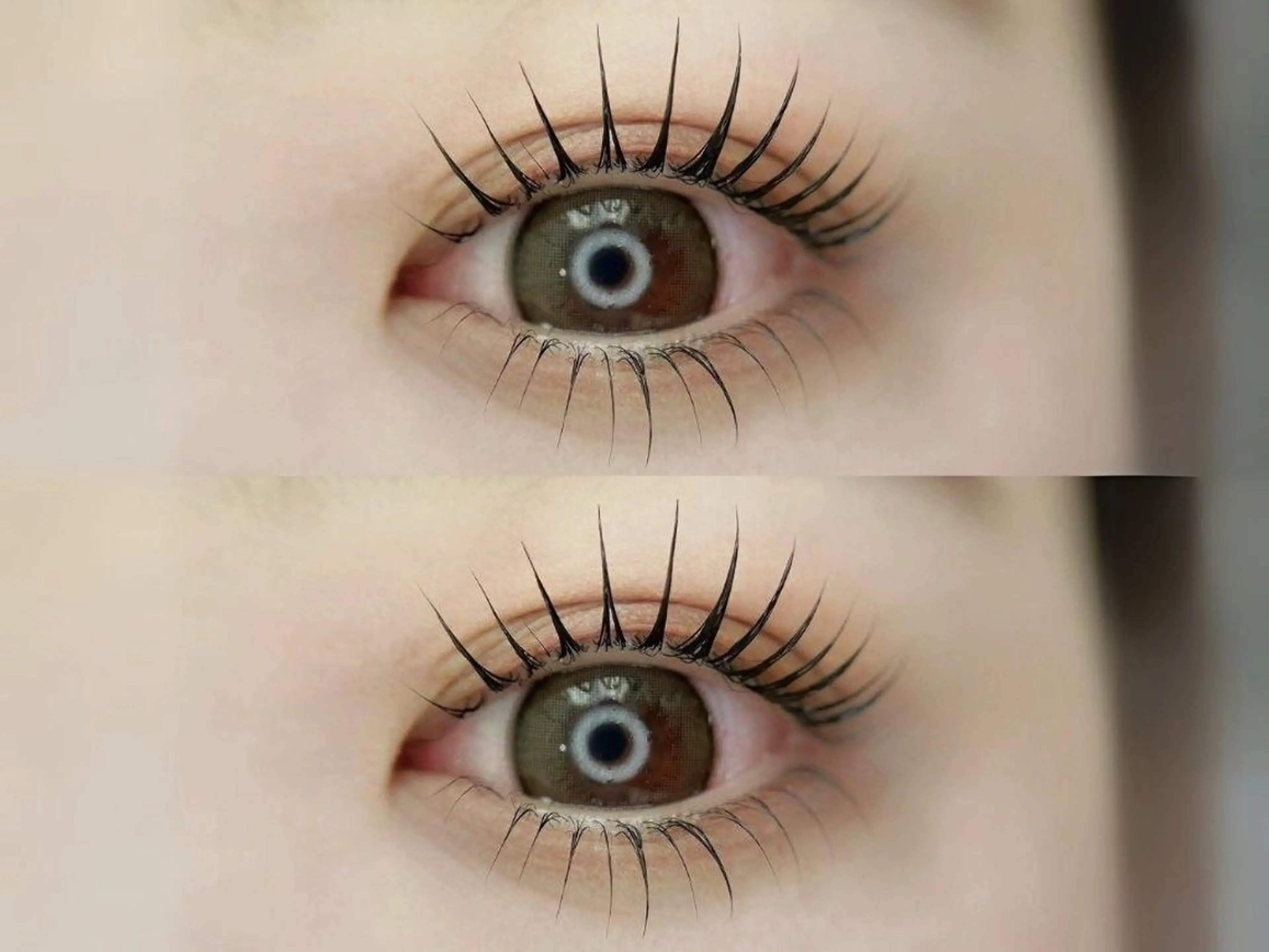 𝐄𝐲𝐞𝐥𝐚𝐬𝐡(まつ毛パーマ、パリジェンヌ)の写真