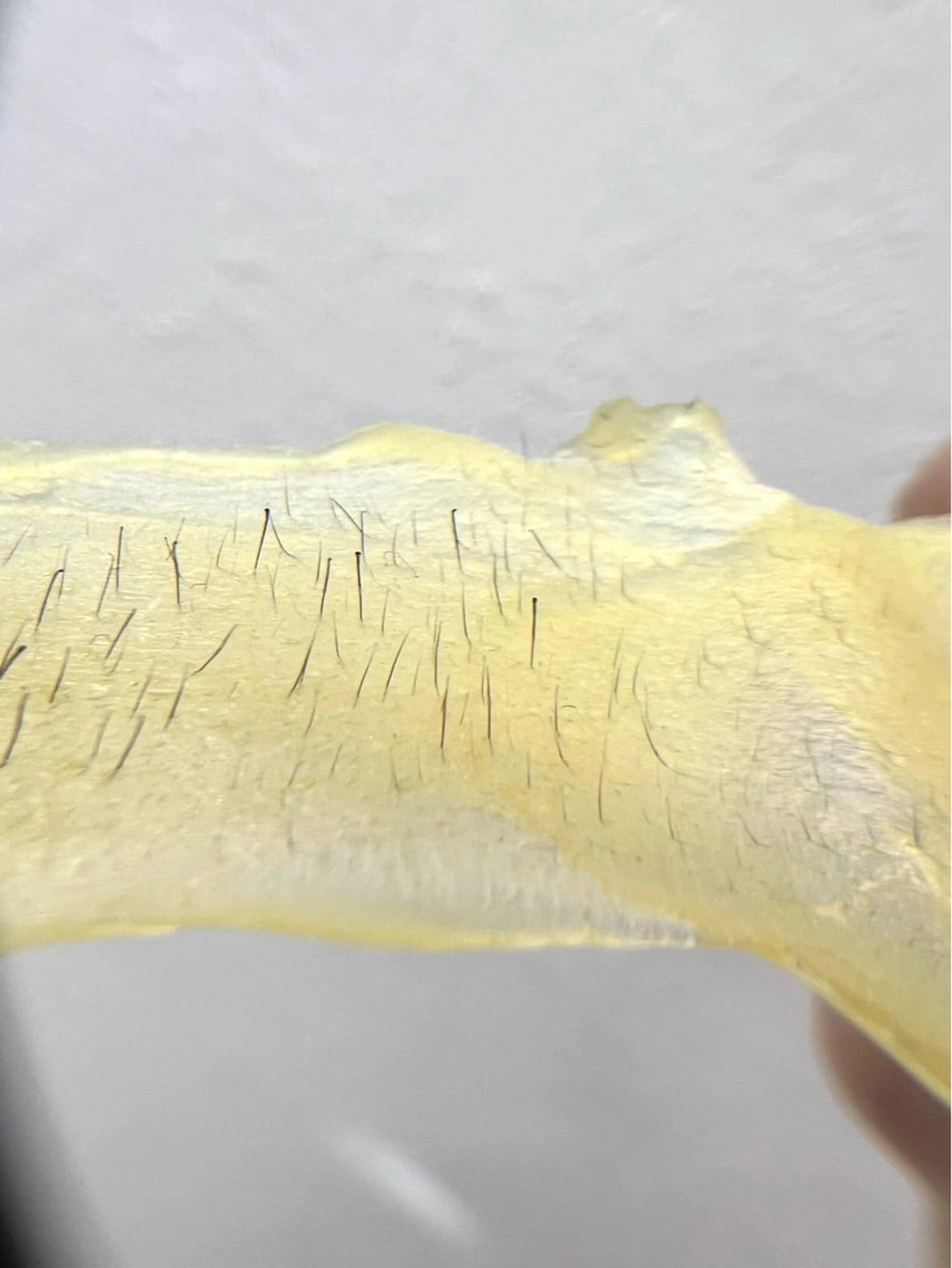 エステ Lei beauty salon所属・松ヤニワックス専門/ 梅田/Leiのエステ・リラクイメージ