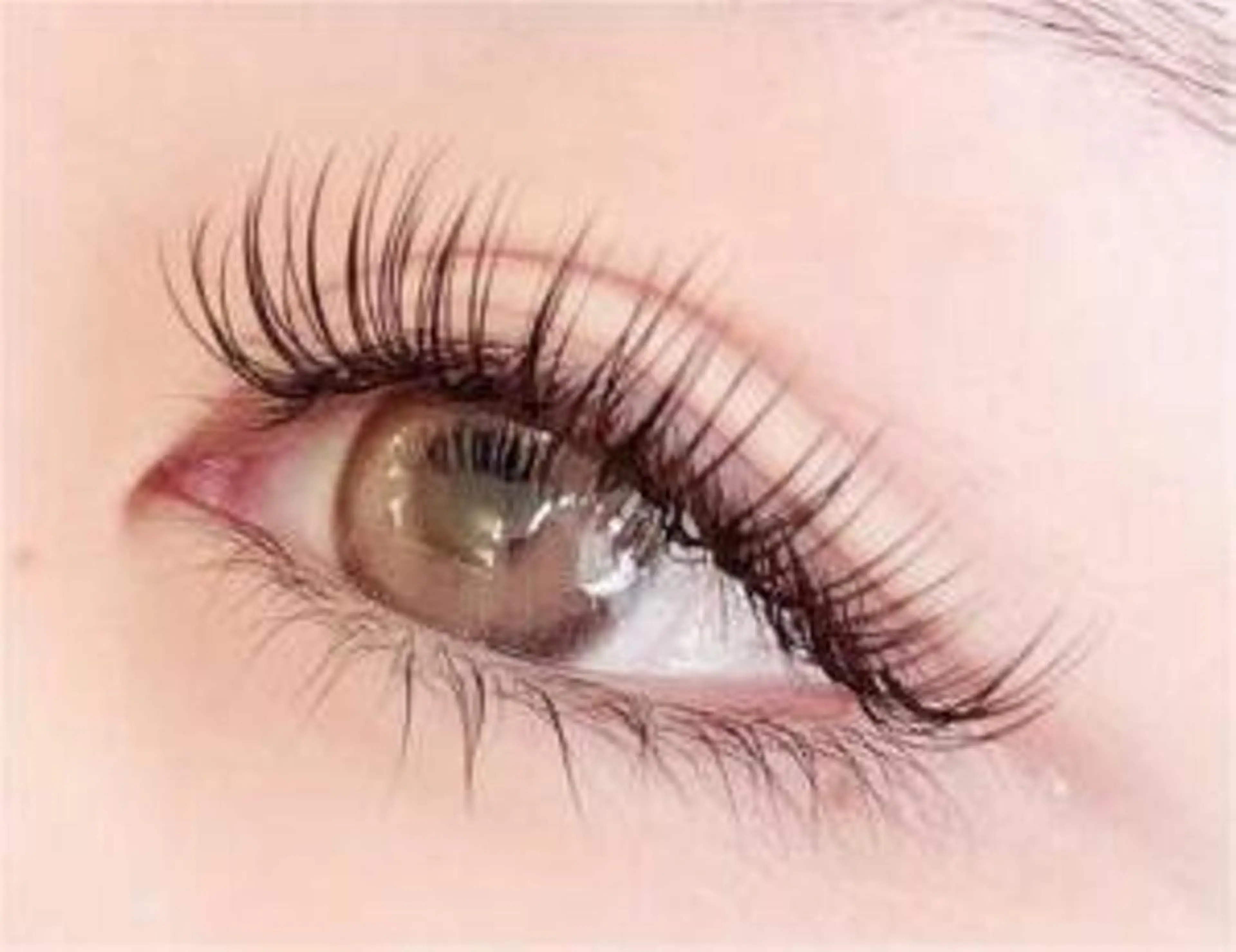 マツエク・マツパ Lash by foi新宿のマツエク・マツパデザイン