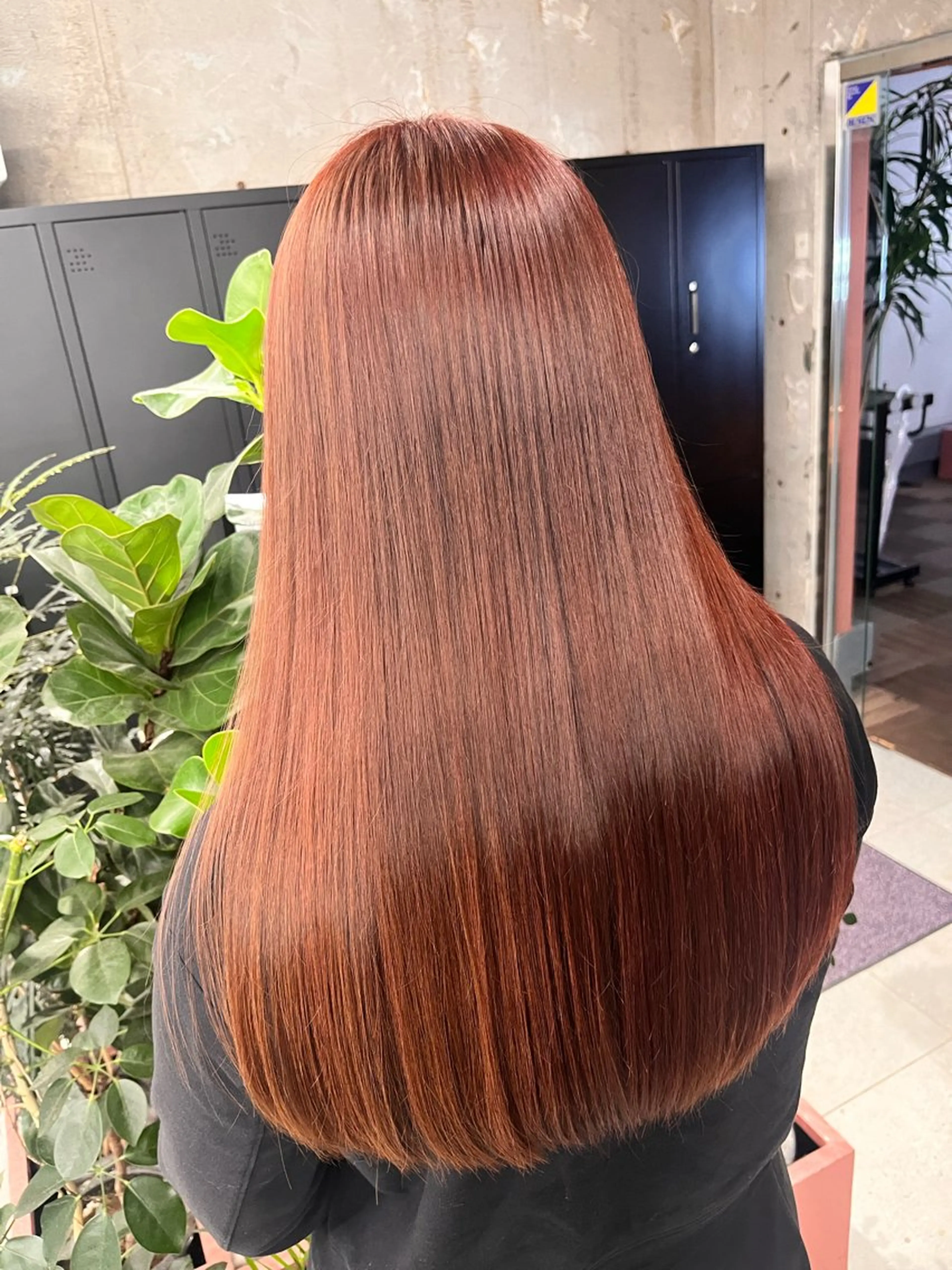 🌿カット+ワンカラー🌿の写真