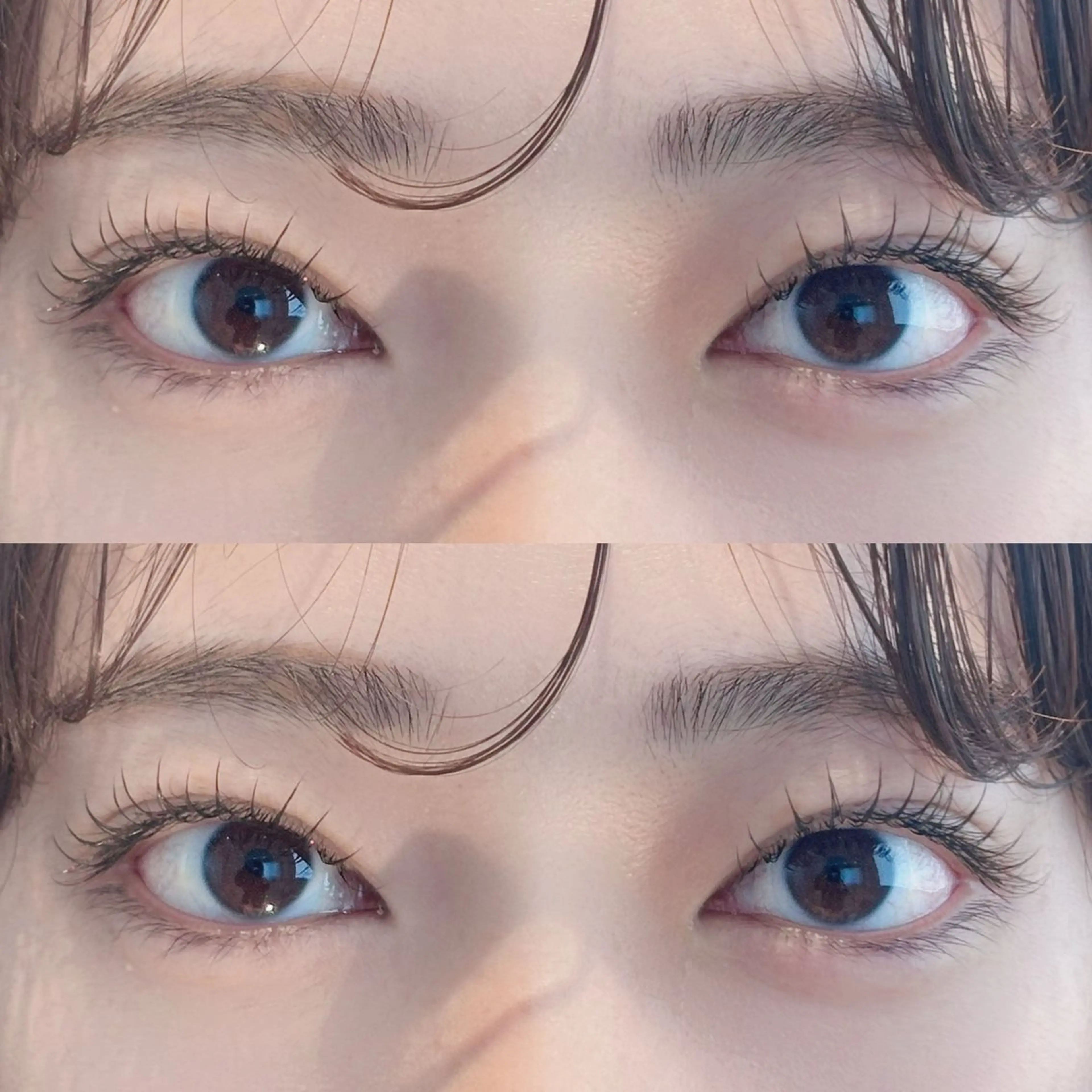 フラットラッシュ100本(オフなし)の写真