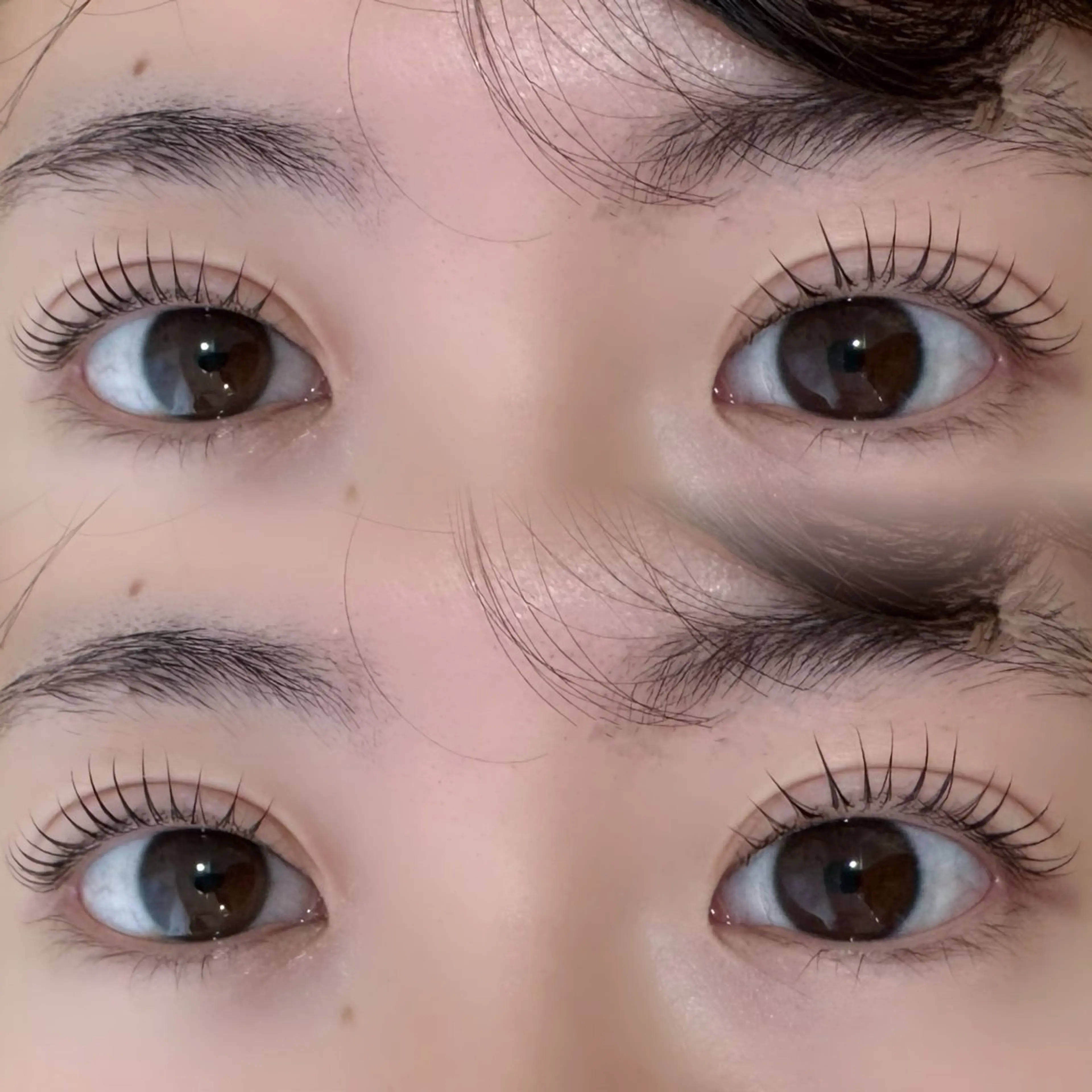 マツエク・マツパ 韓国風マツエク Airi 🌷‎🤍のマツエク・マツパデザイン