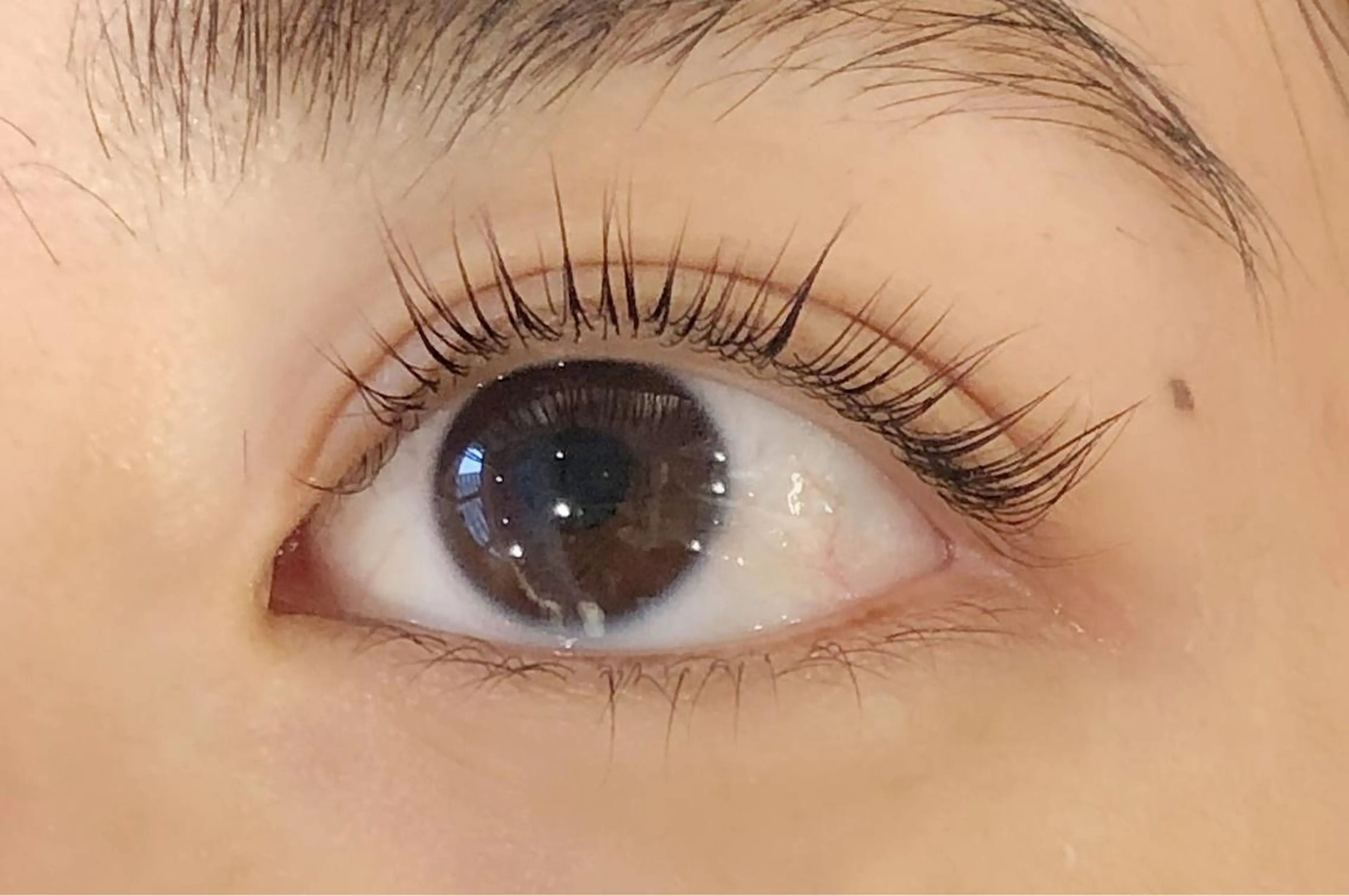 マツエク・マツパ パリジェンヌラッシュリフト nuna池袋 mokaのマツエク・マツパデザイン