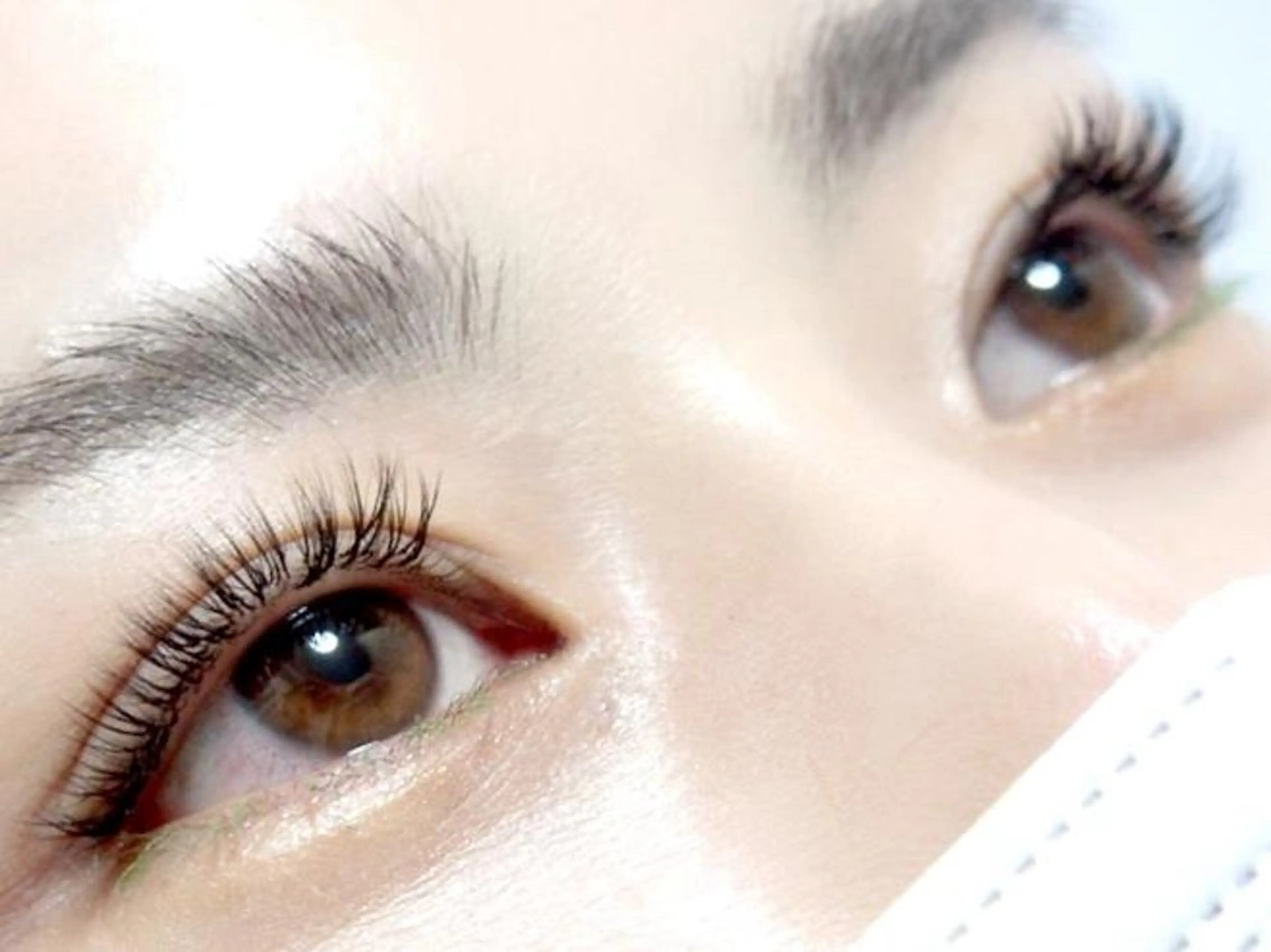 バインドロック80束の写真