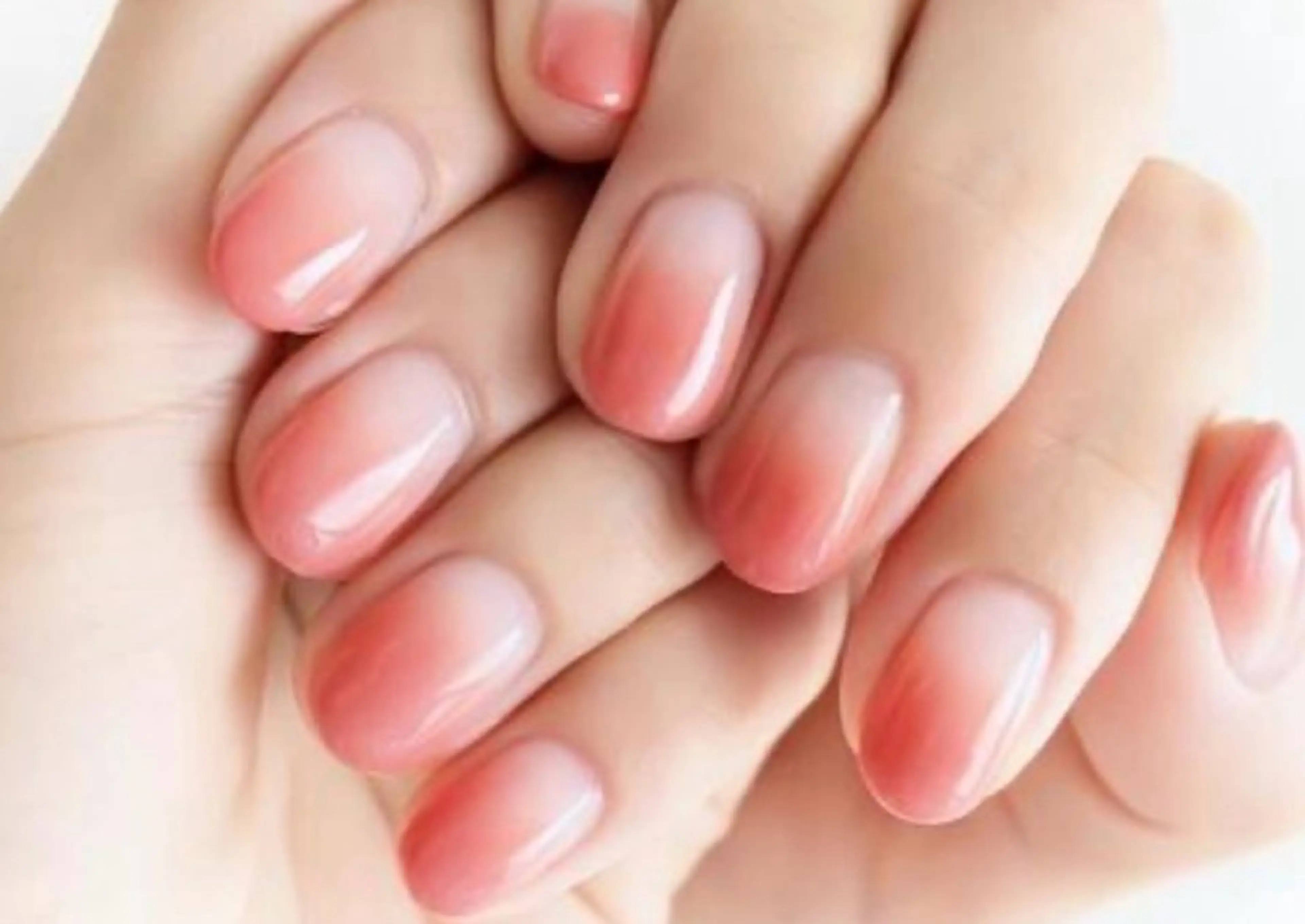 オフ無しカラーグラデーションの写真