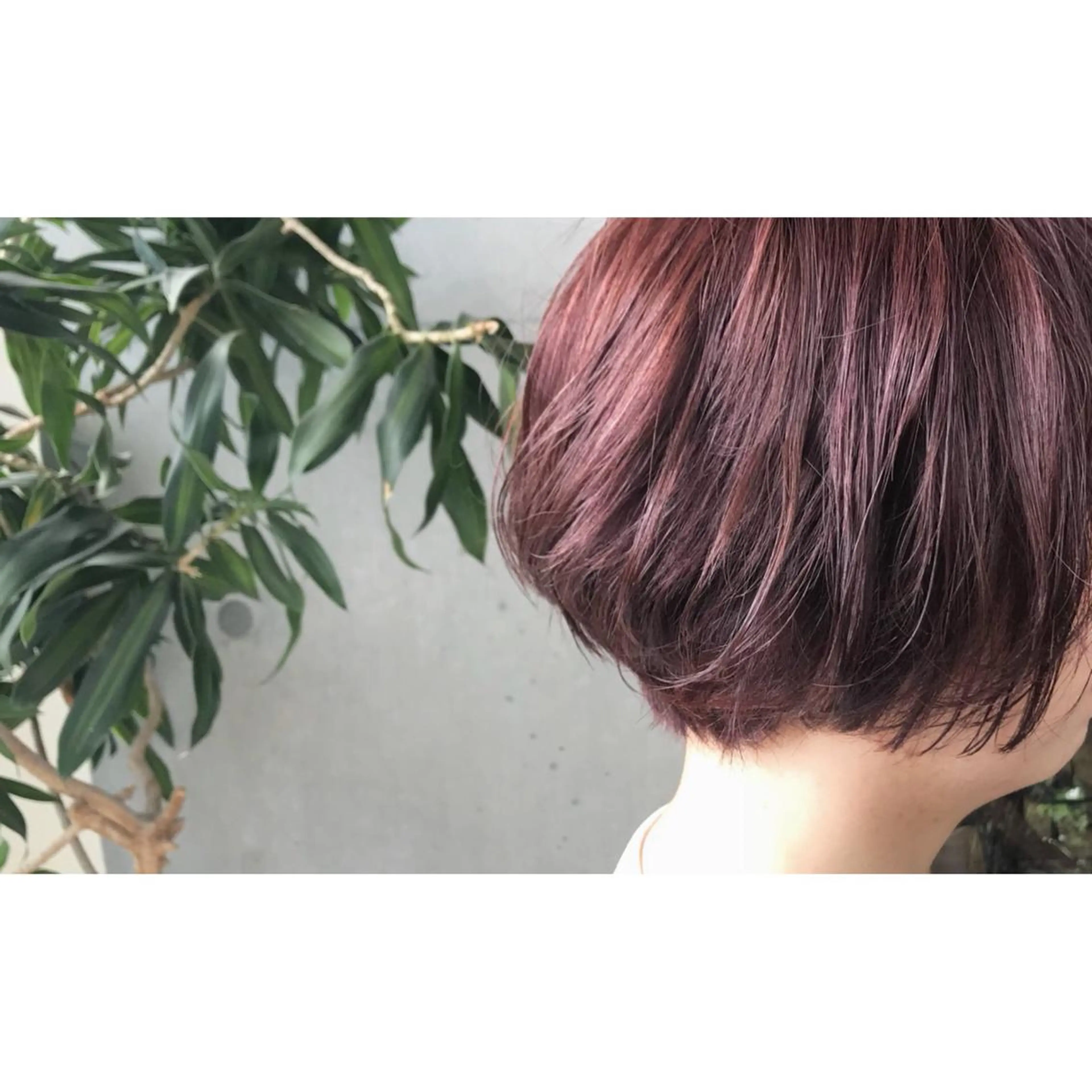 ショート ボブ カット パーマ Genta @gegege75のヘアスタイル