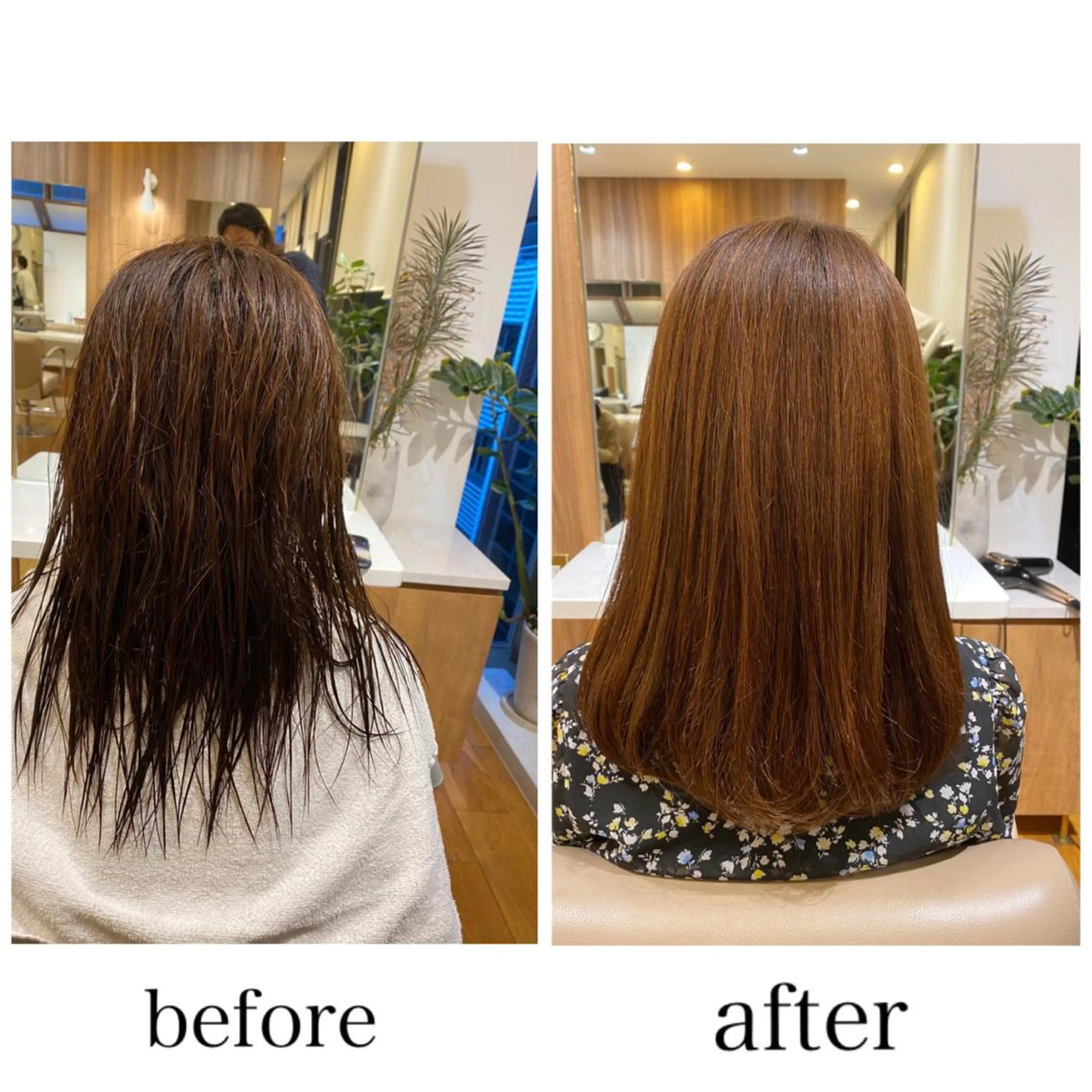 セミロング カラー 門崎未依/レイヤー/ メンズカット🪿のヘアスタイル